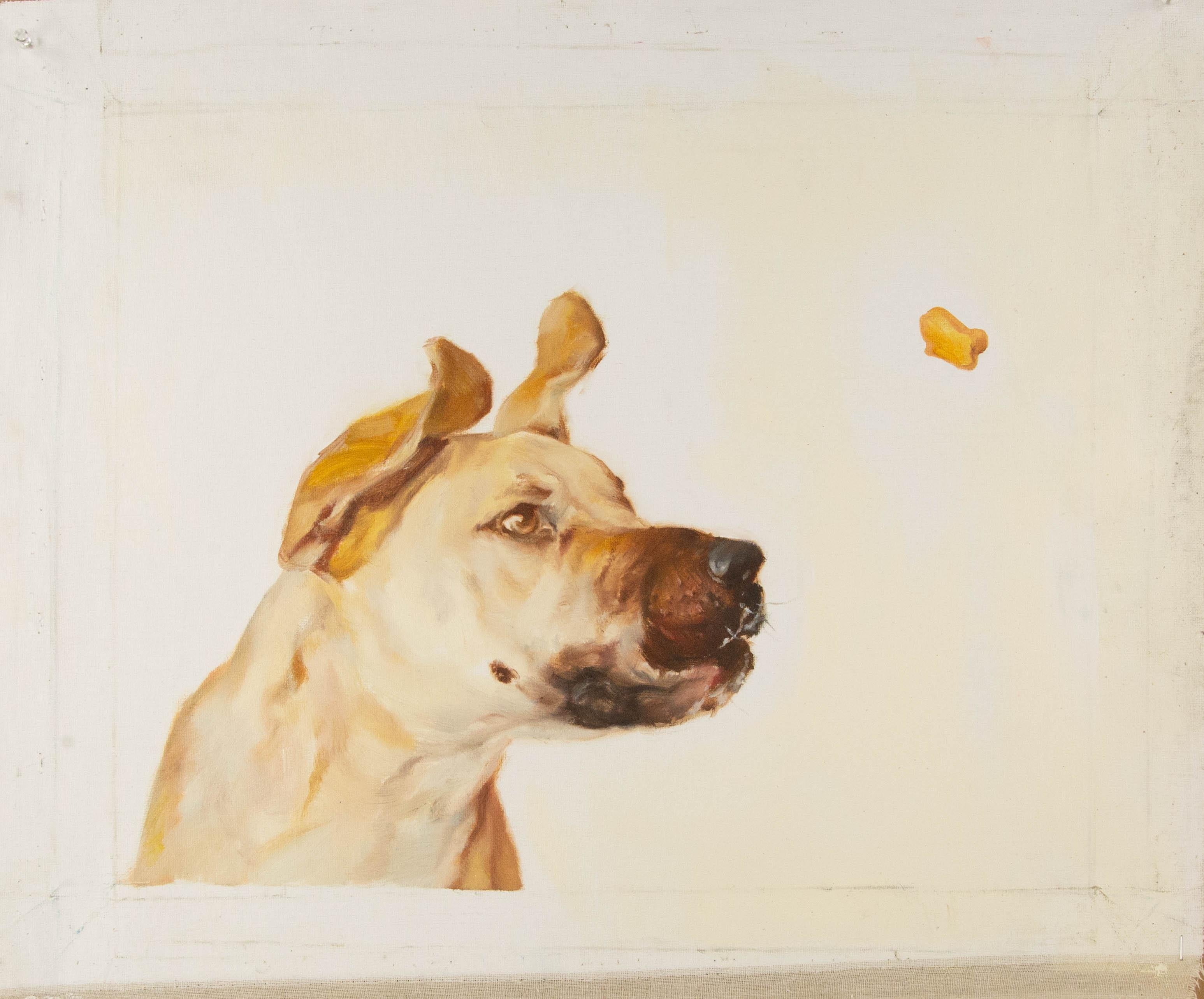 Jiao Wang Animal Original Oil On Canvas 