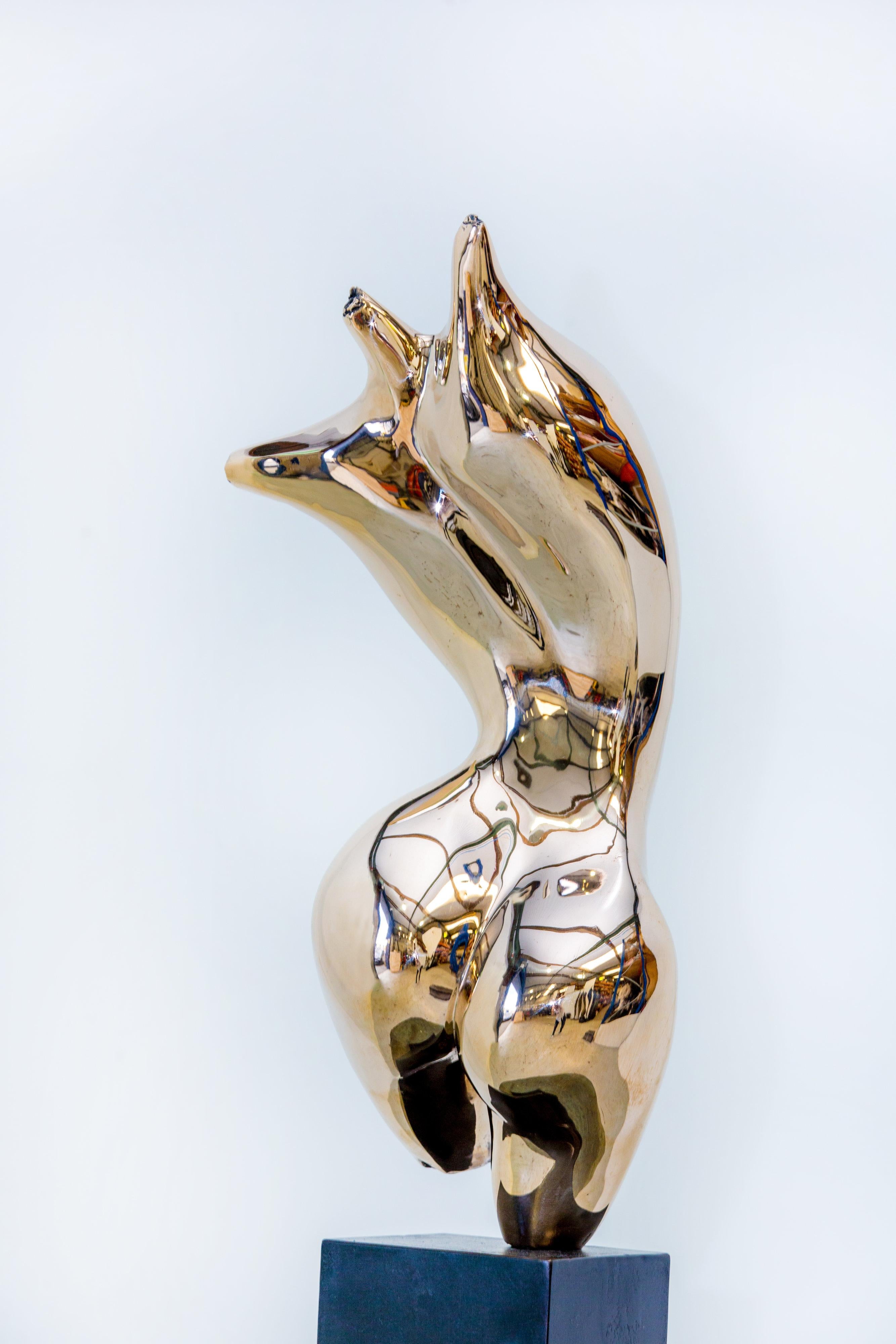 Aphrodite, 2021
The highly polished female torso enhances the magnificence of the human body's beauty, sensuality and inner spiritual illumination
Highly polished Bronze on bronze base
17.6 x 15 x 7.1 cm
6 7/8 x 5 7/8 x 2 3/4 in.
Edition of 9