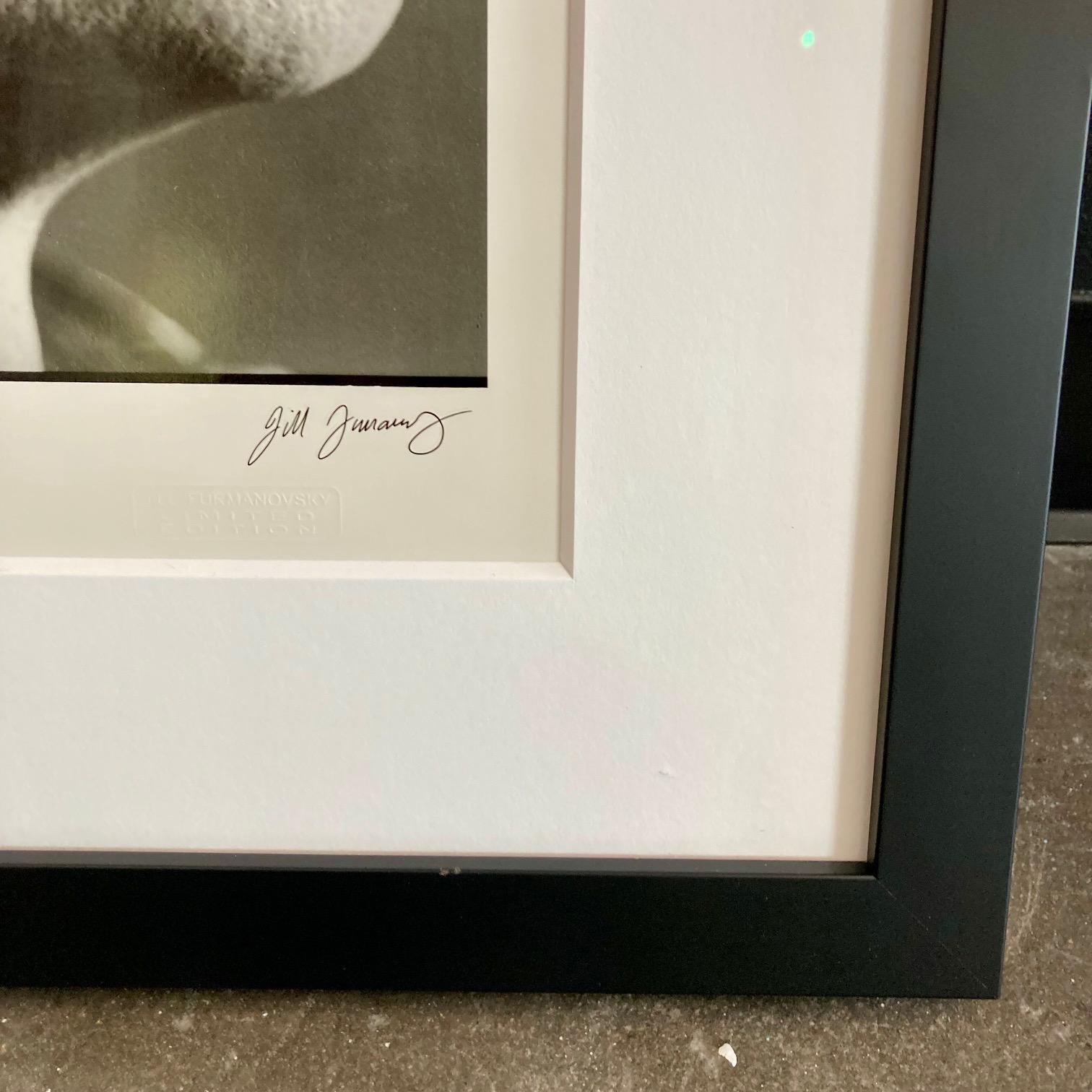 Charlie Watts of The Rolling Stones by Jill Furmanovsky, framed 2