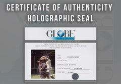 Mama Cass Spinning at Monterey Pop Festival Fine Art Print