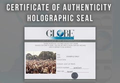 Monterey Pop Festival Crowd Fine Art Print