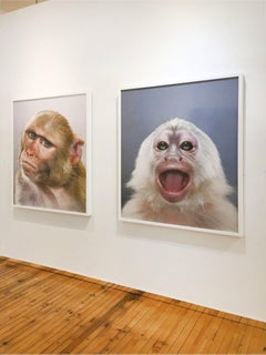 Scoldy, Jill Greenberg, Ultrachrome Ink on Hot Press Paper Framed in White