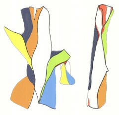 2015 Jill Nathanson 'American Dance Festival 2015'