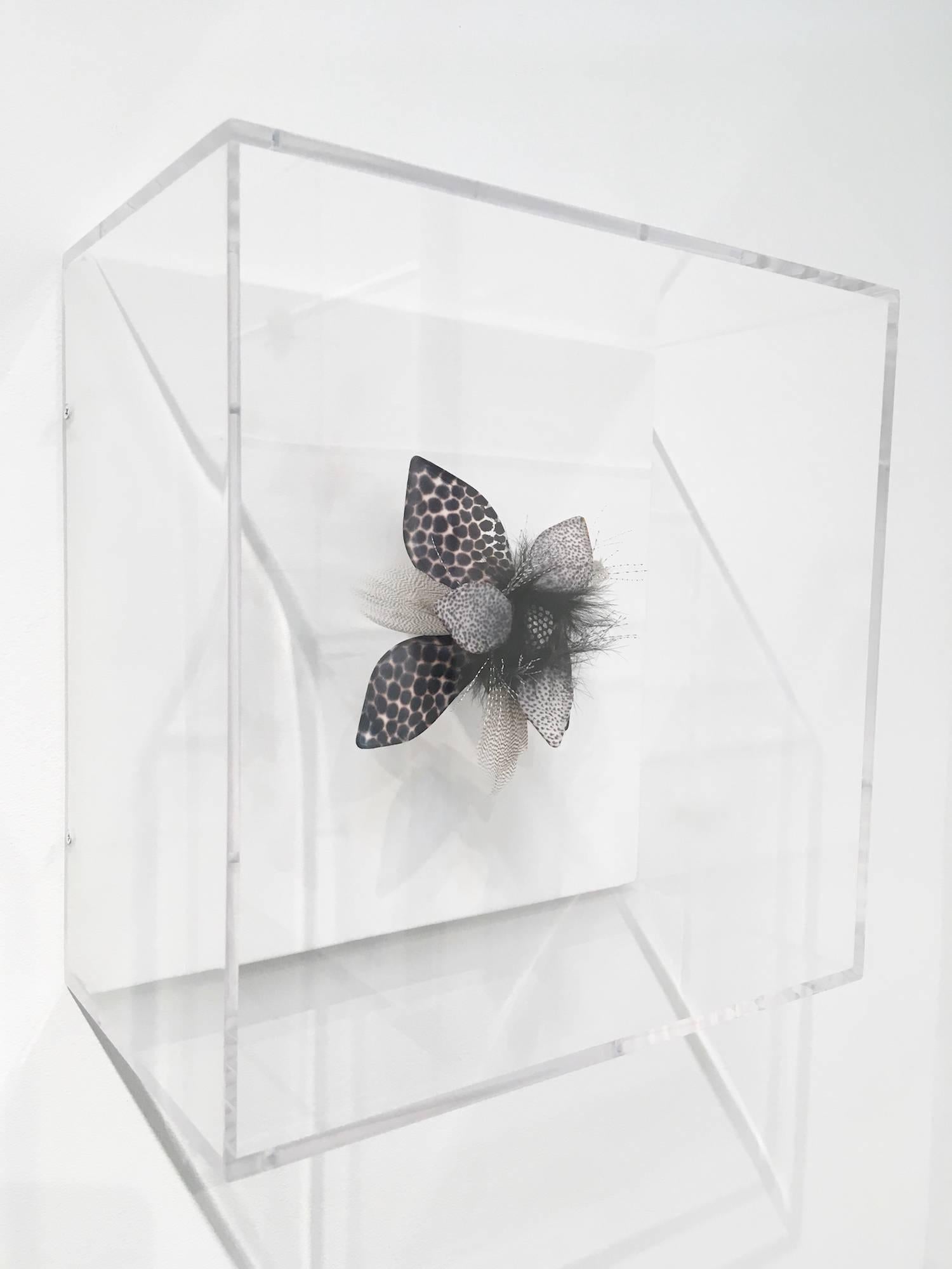 Jill Parisi's masterful sculptures are showcased in this exciting display of a single sculpture of black  fiber reactive dye on white handmade overbeaten abaca fiber with black fur and gray feathers. The papers are hand-cut and arranged in floral