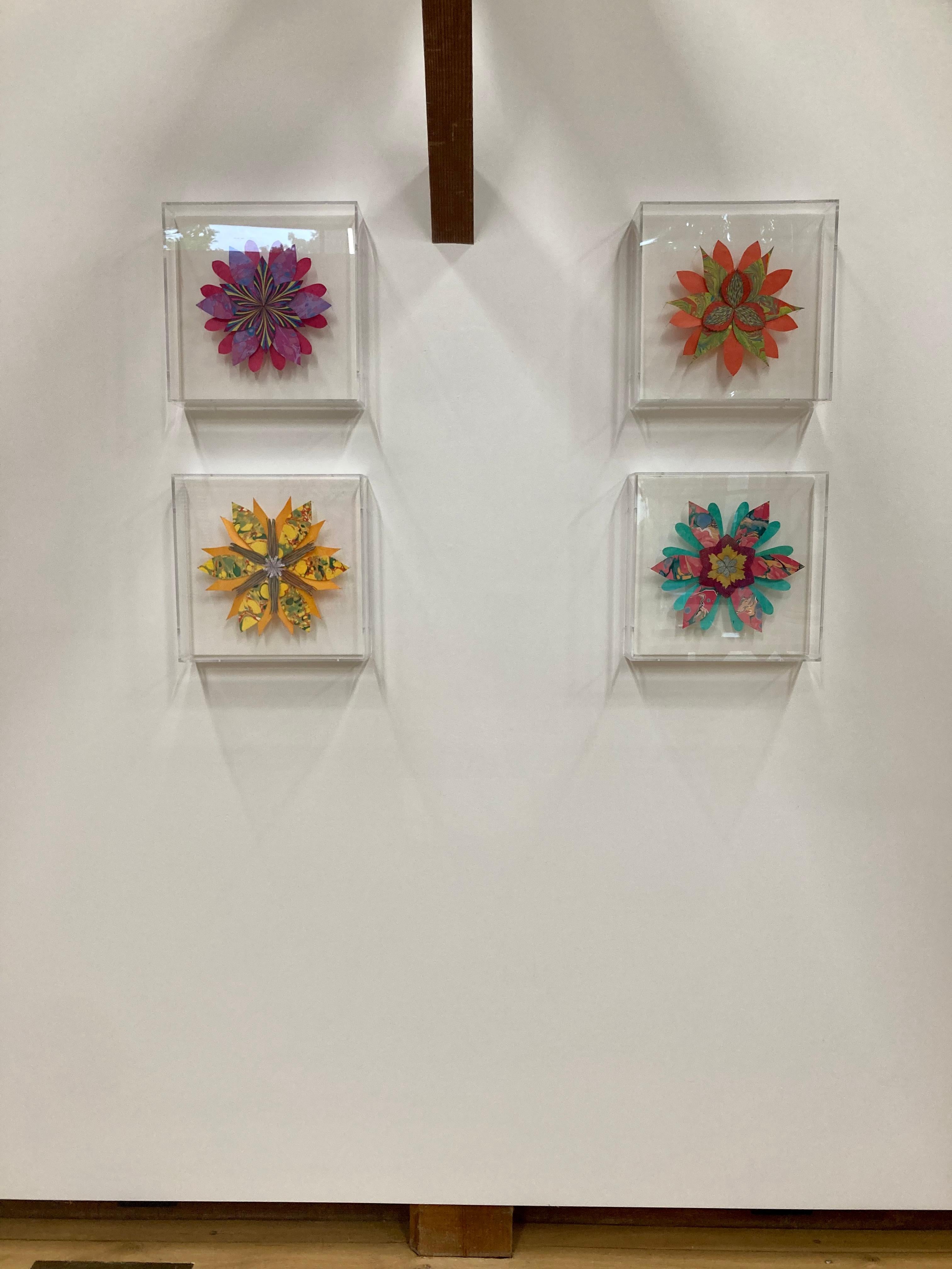 Vermilion Star Flower, Bright Colorful Botanical Paper Wall Sculpture 5