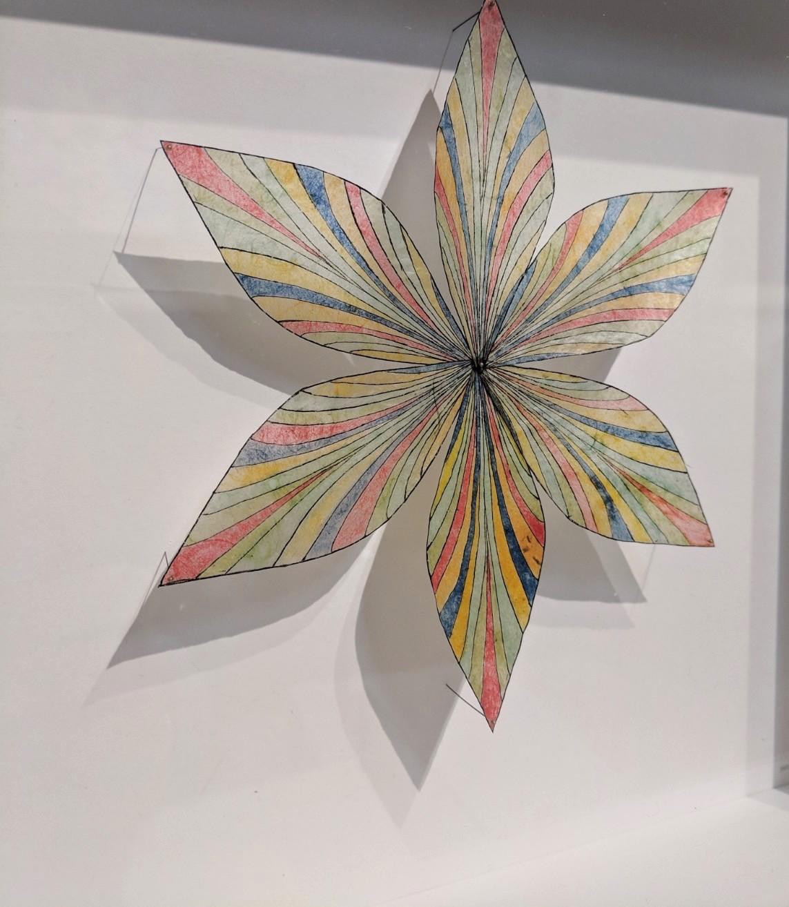 Shooting Star, Pinned Paper Flower in Light Green, Blue-Grey, Light Orange, Red - Contemporary Sculpture by Jill Parisi