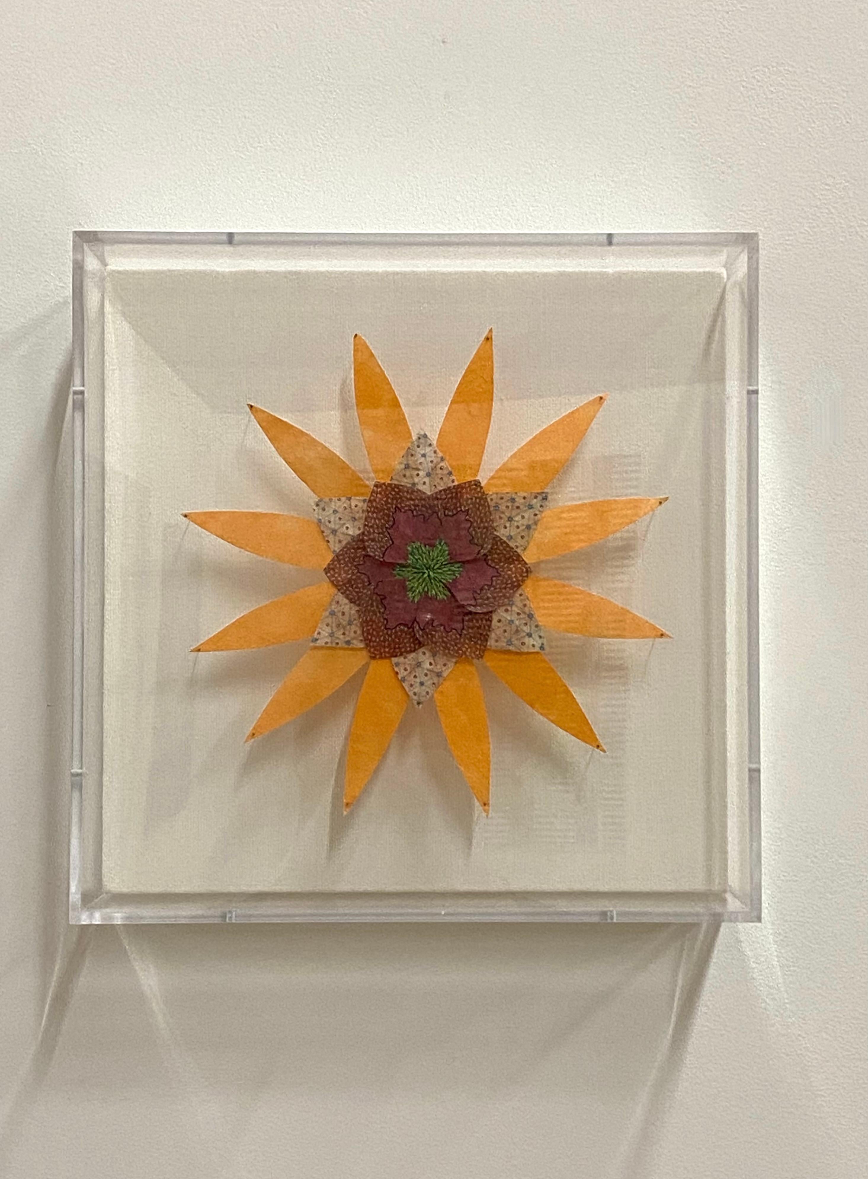 Erde und Himmel Stern - Zeitgenössische Botanische Wandskulptur Orange Maroon Papier – Sculpture von Jill Parisi