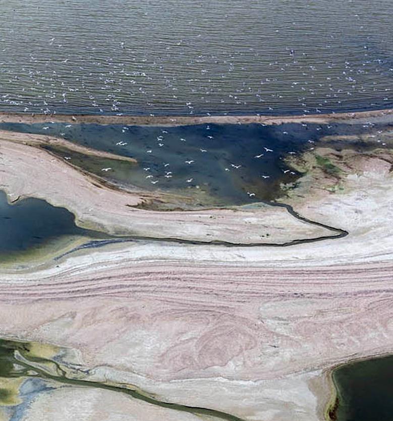Peters ha seguido captando y documentando la huella más amplia del hombre en la naturaleza. Ya sea la simetría gráfica de la arquitectura urbana o la coreografía abstracta de las formas y matices de la propia naturaleza. En este conjunto de obras,