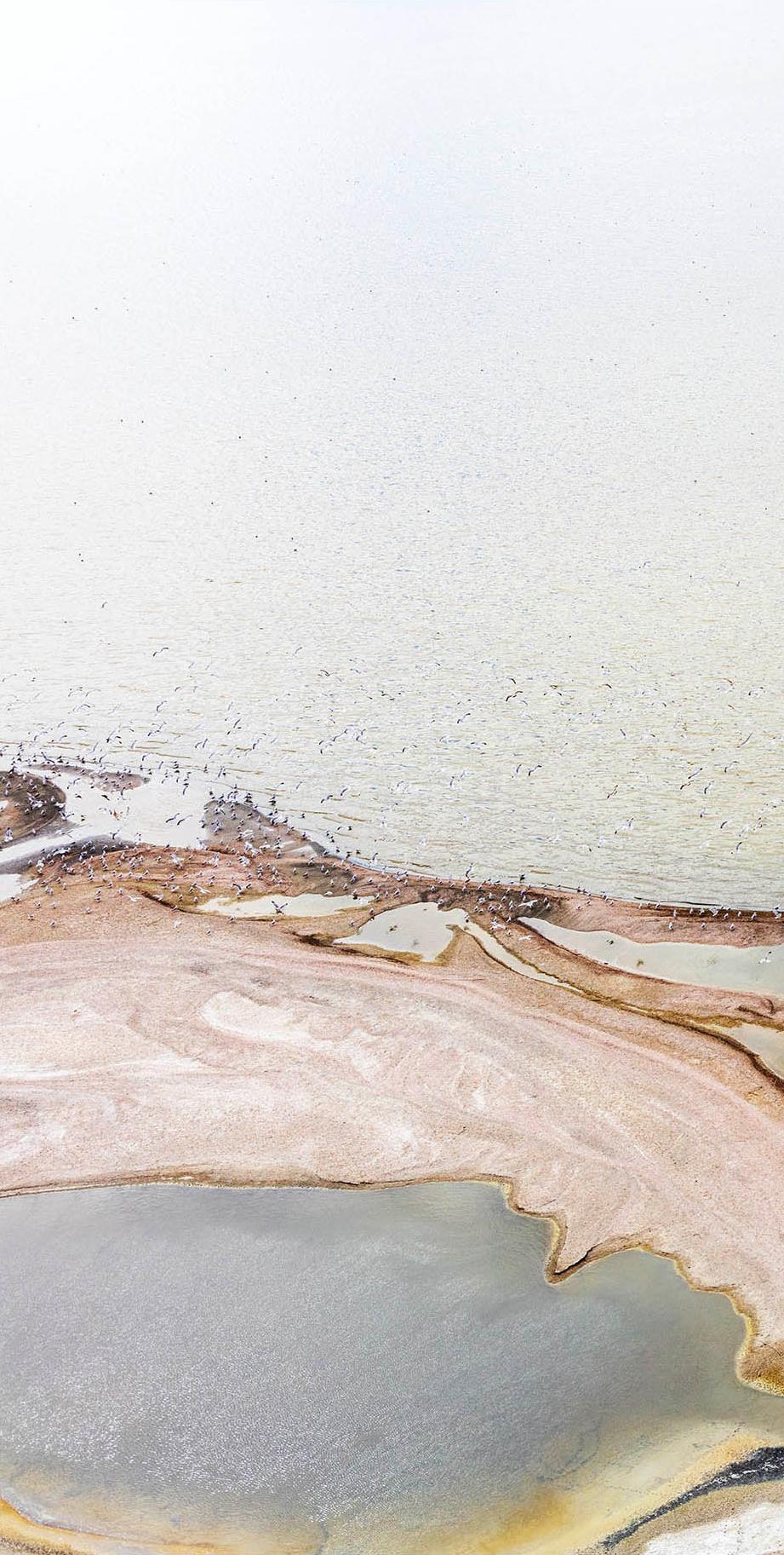 Ohne Titel 2222. Triptychon. Landschaftsfotografie in limitierter Auflage in Farbe (Grau), Landscape Photograph, von Jill Peters