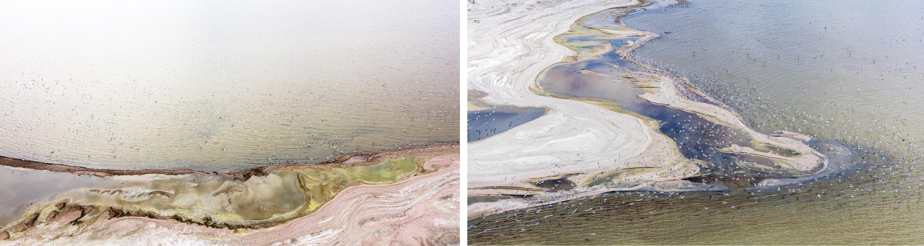 Color Photograph di Jill Peters - Dittico Senza Titolo 670A e Senza Titolo 1872. Fotografia a colori di un paesaggio
