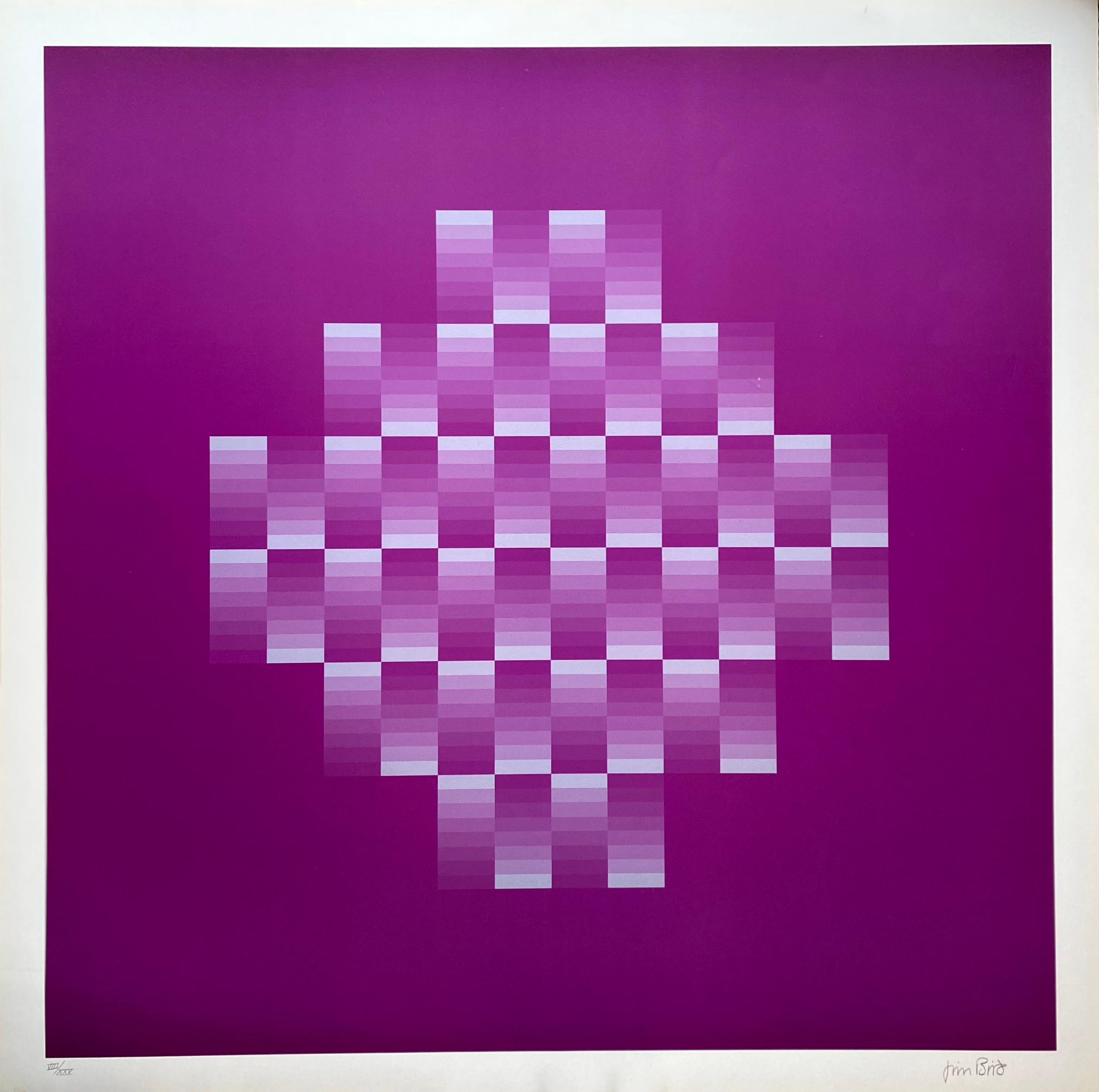 Late 20th Century Jim Bird, Tribute to Vasarely 10, 1970 For Sale