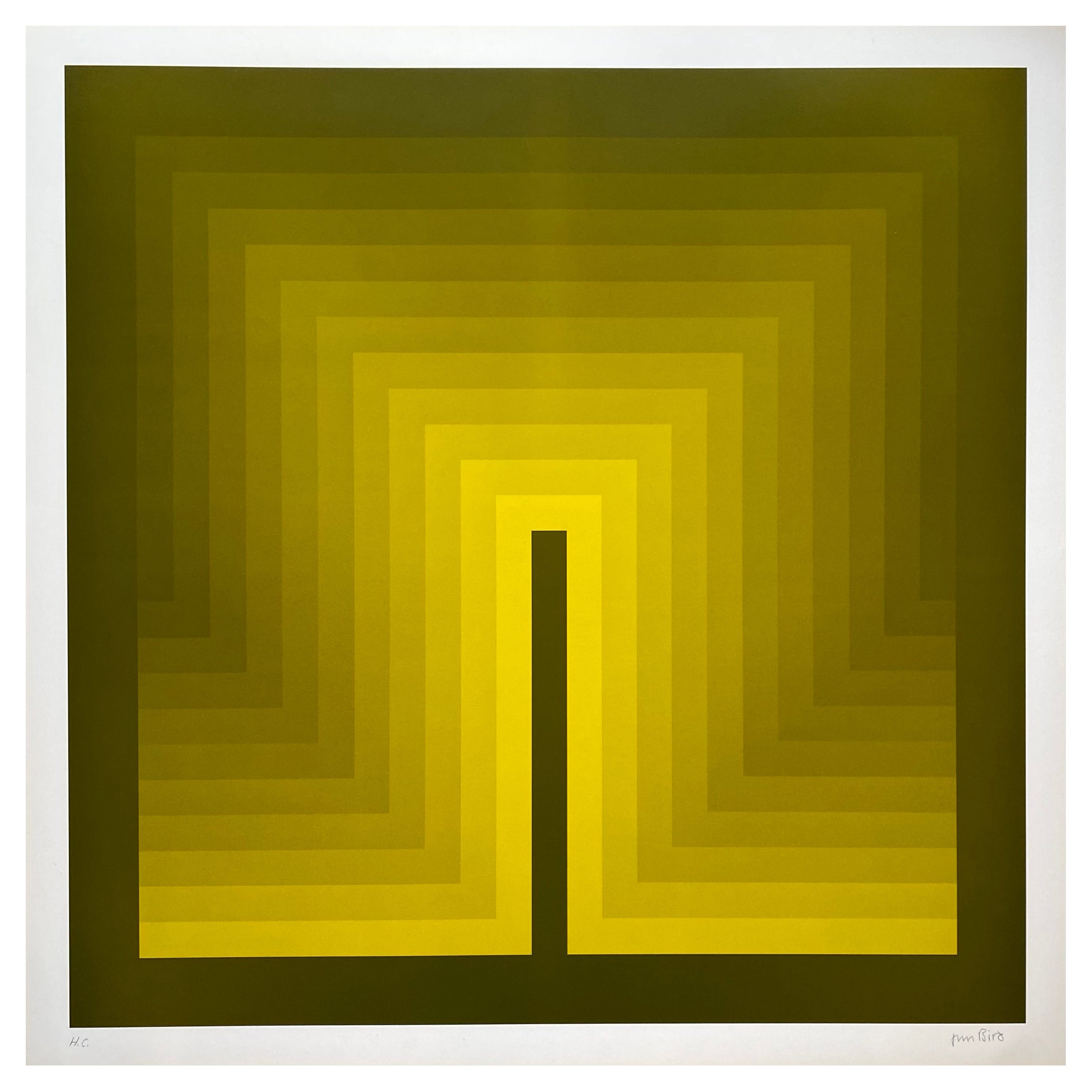 Jim Bird - Hommage an Vasarely 11 - 1970