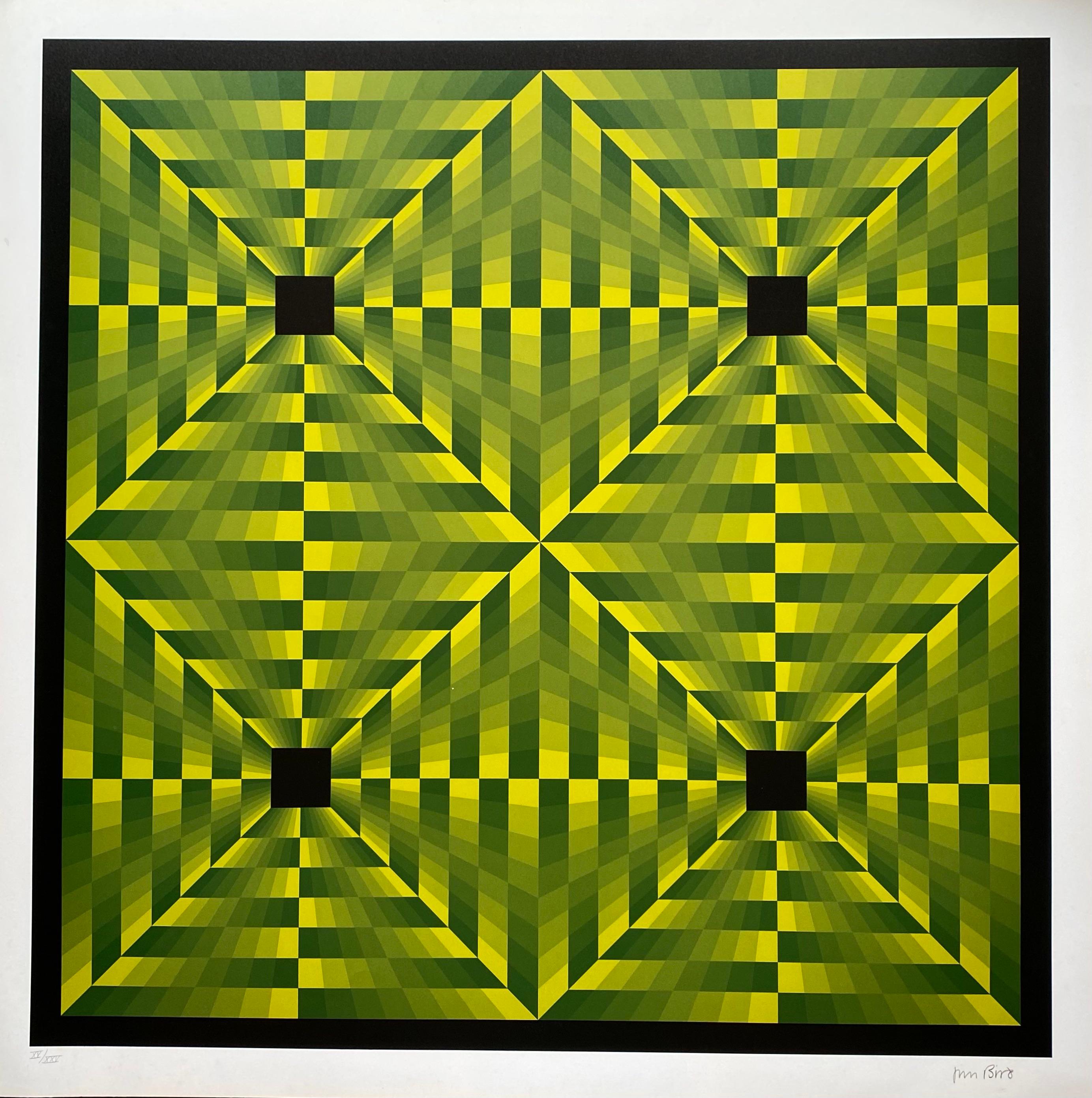 Jim Bird - tribute to Vasarely 
Photolithography
Circa 1970
Signed 
Paper size : 68×68
Image size : 61×61 
Perfect condition 
Published by Poligrafa, Barcelona 