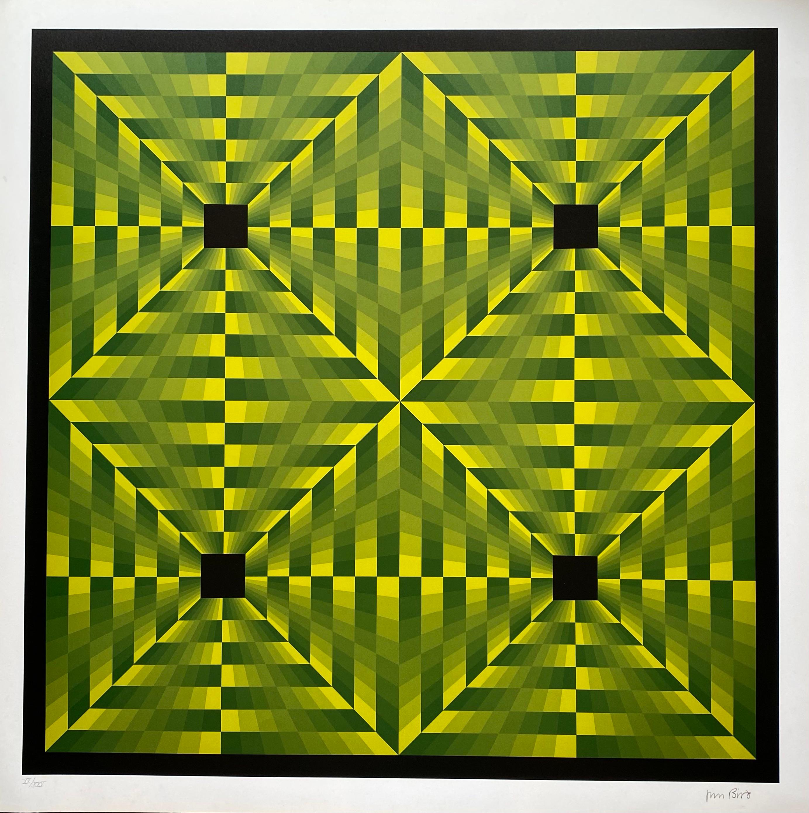Jim Bird - tributo a Vasarely 
Fotolitografia
Circa 1970
Firmato 
Formato carta: 68×68
Dimensioni dell'immagine: 61×61 
Condizioni perfette 
Pubblicato da Poligrafa, Barcellona 