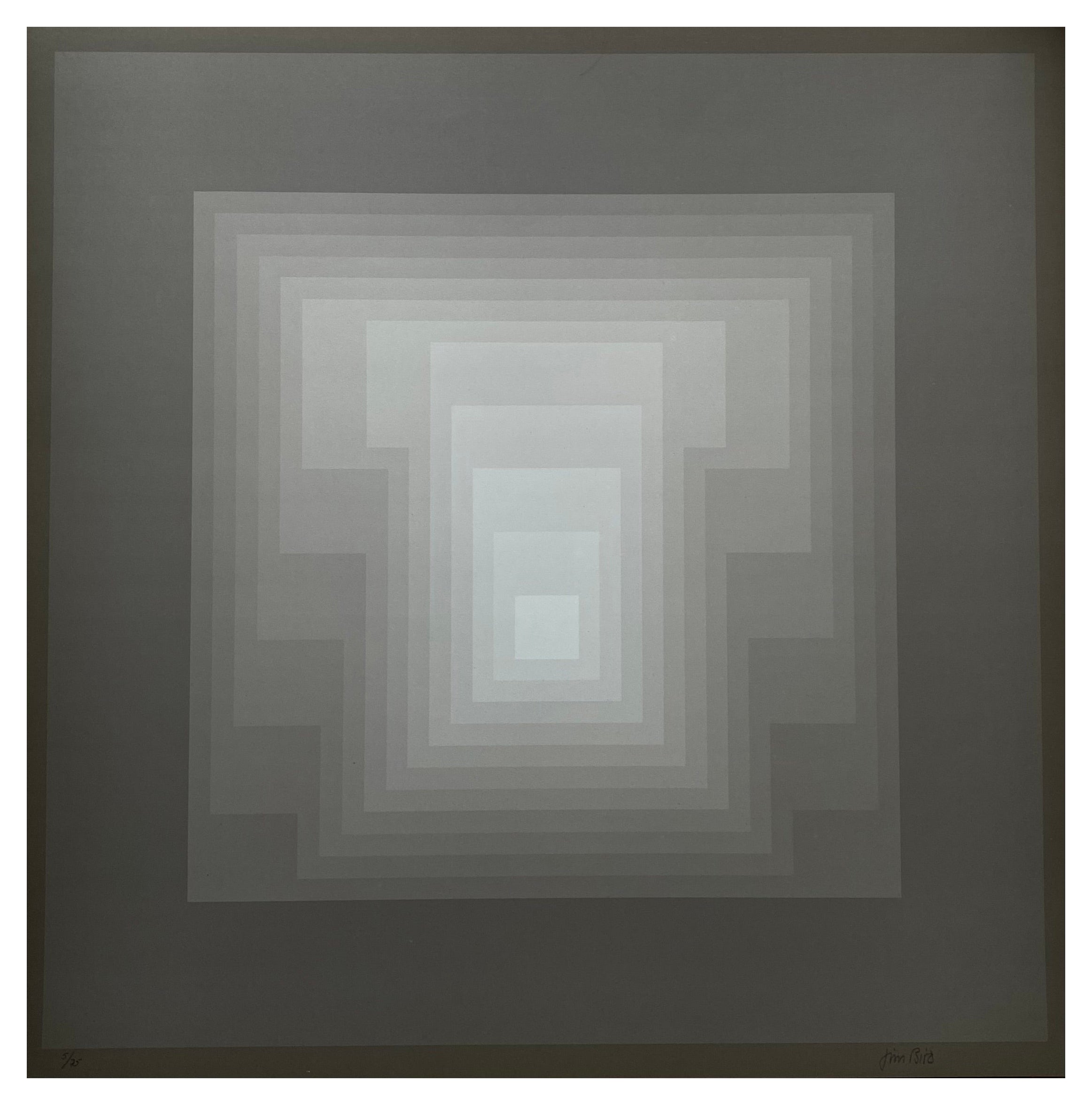 Jim Bird - Hommage an Vasarely 3 - 1970