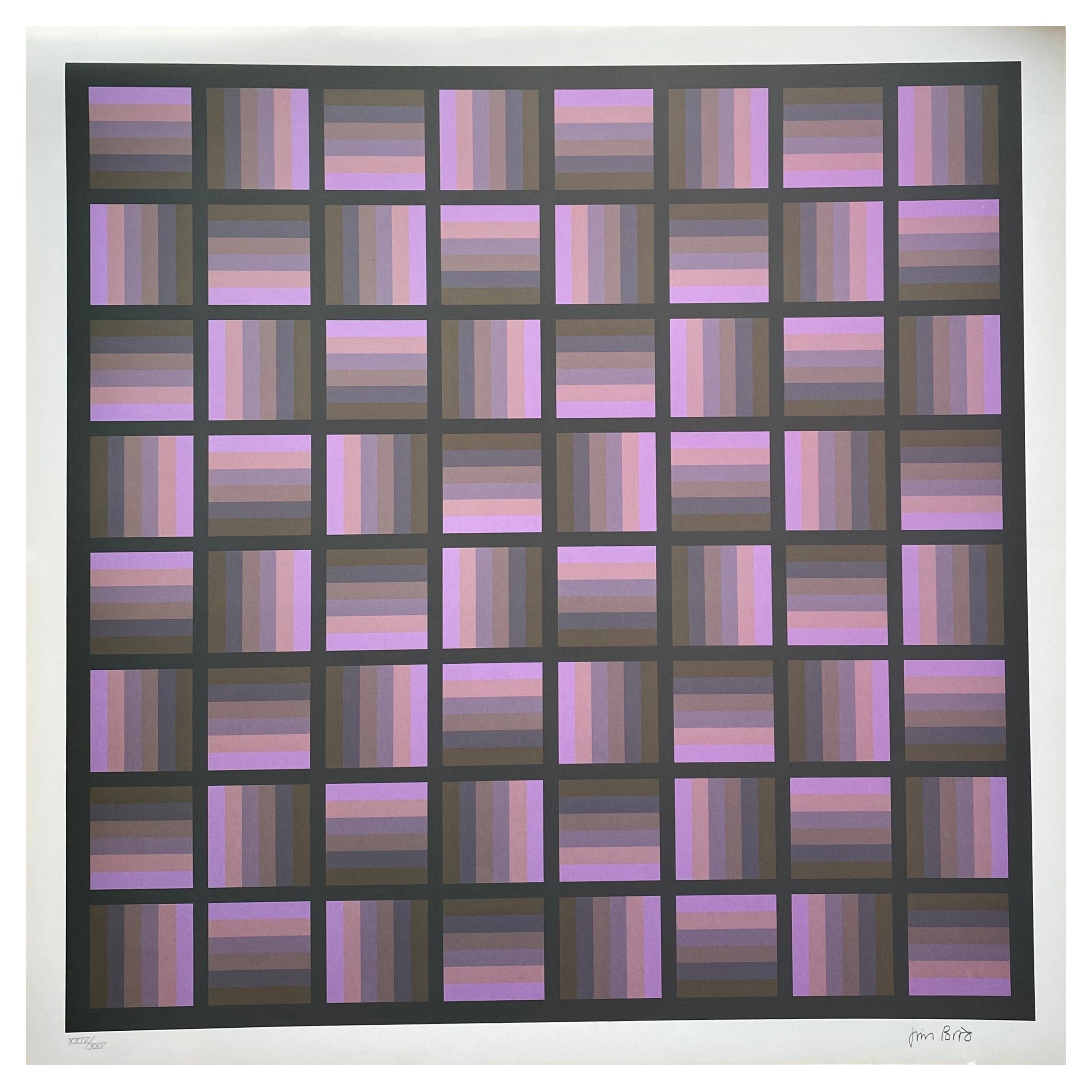 Jim Bird - Hommage à Vasarely 7 - 1970