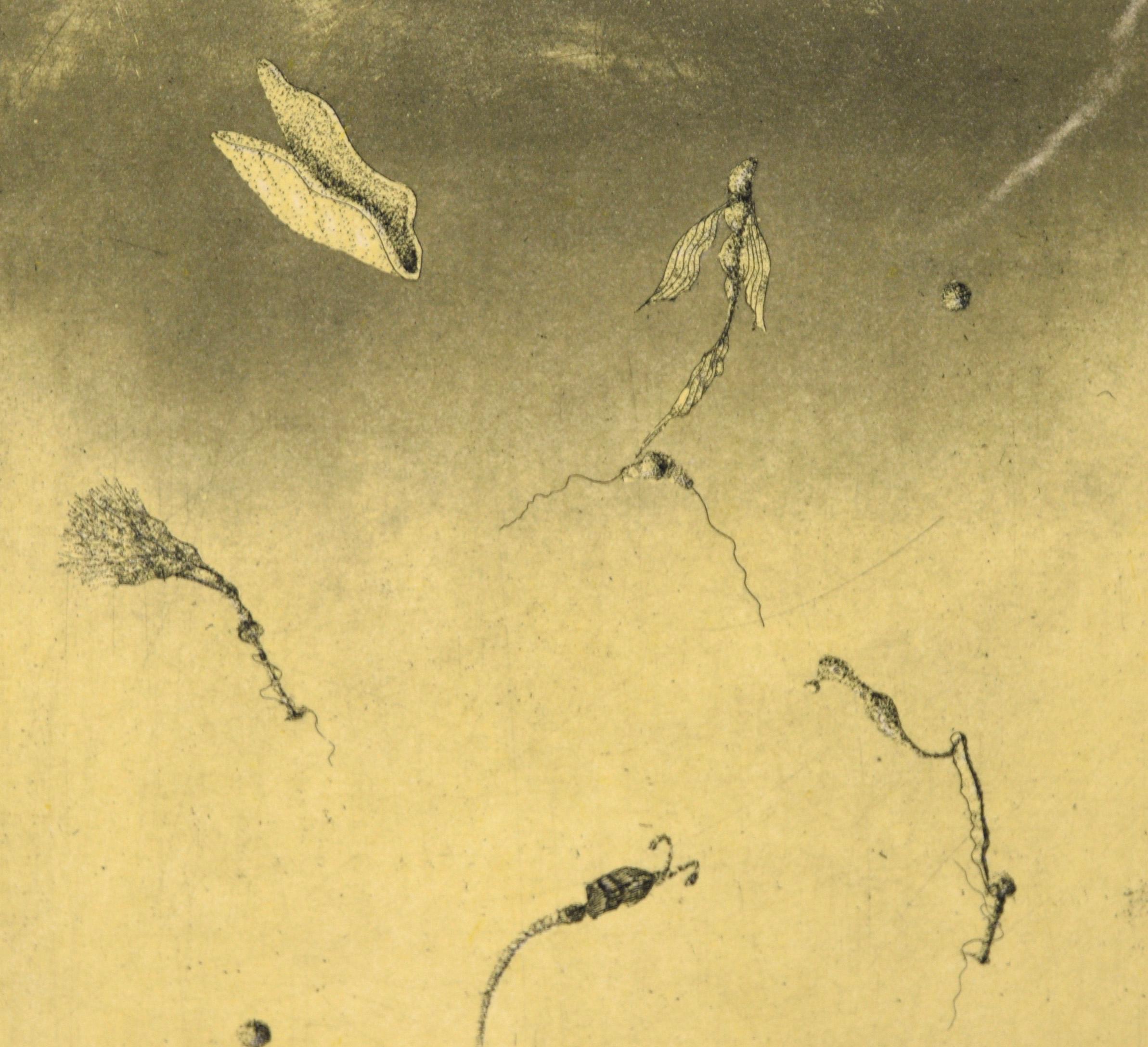 „Dreieckige Sonnenuntergang-Szene“ – surrealistische farbige Lithographie #15/16 1978 (Surrealismus), Print, von Jim Crabb