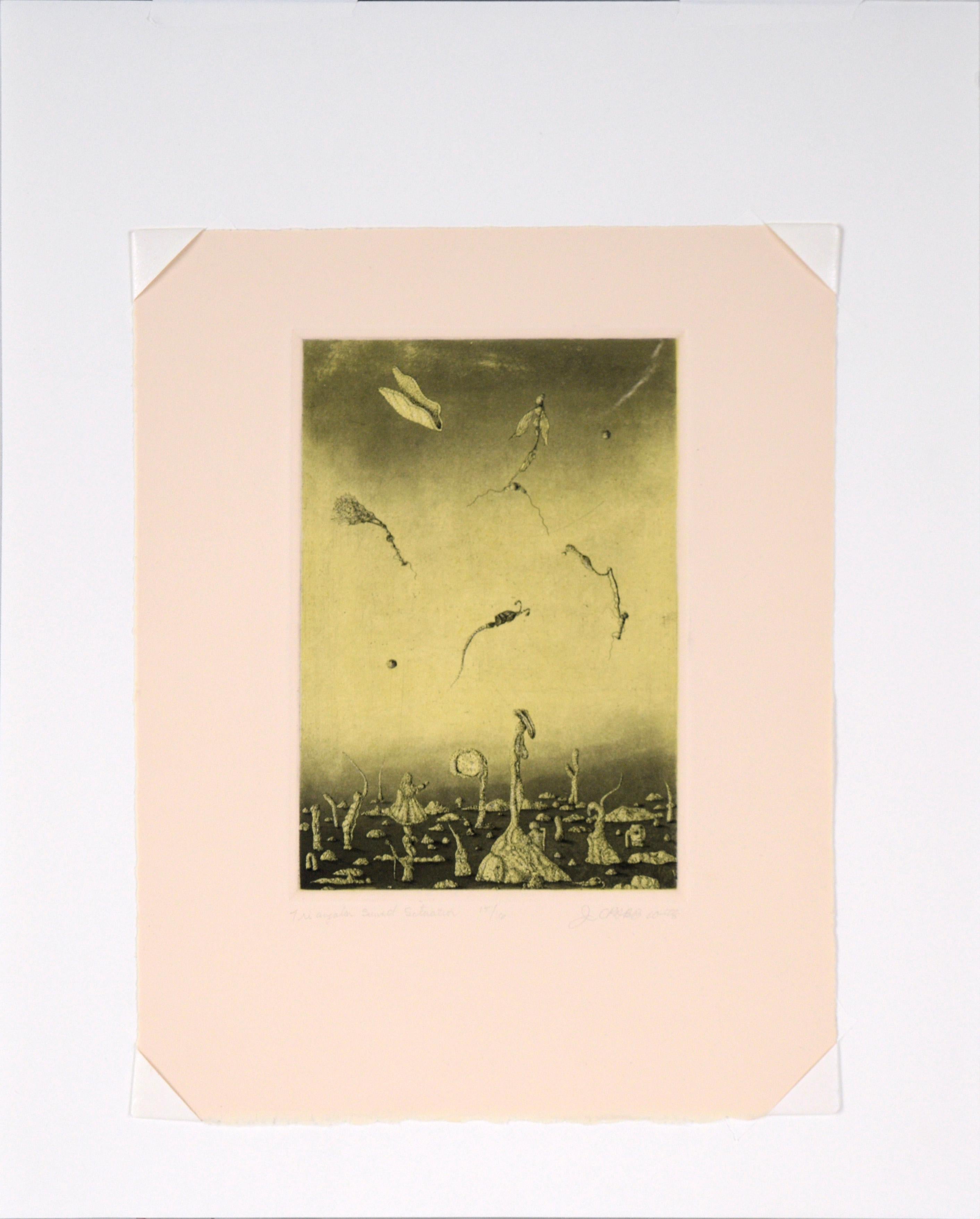 „Dreieckige Sonnenuntergang-Szene“ – surrealistische farbige Lithographie #15/16 1978 im Angebot 4
