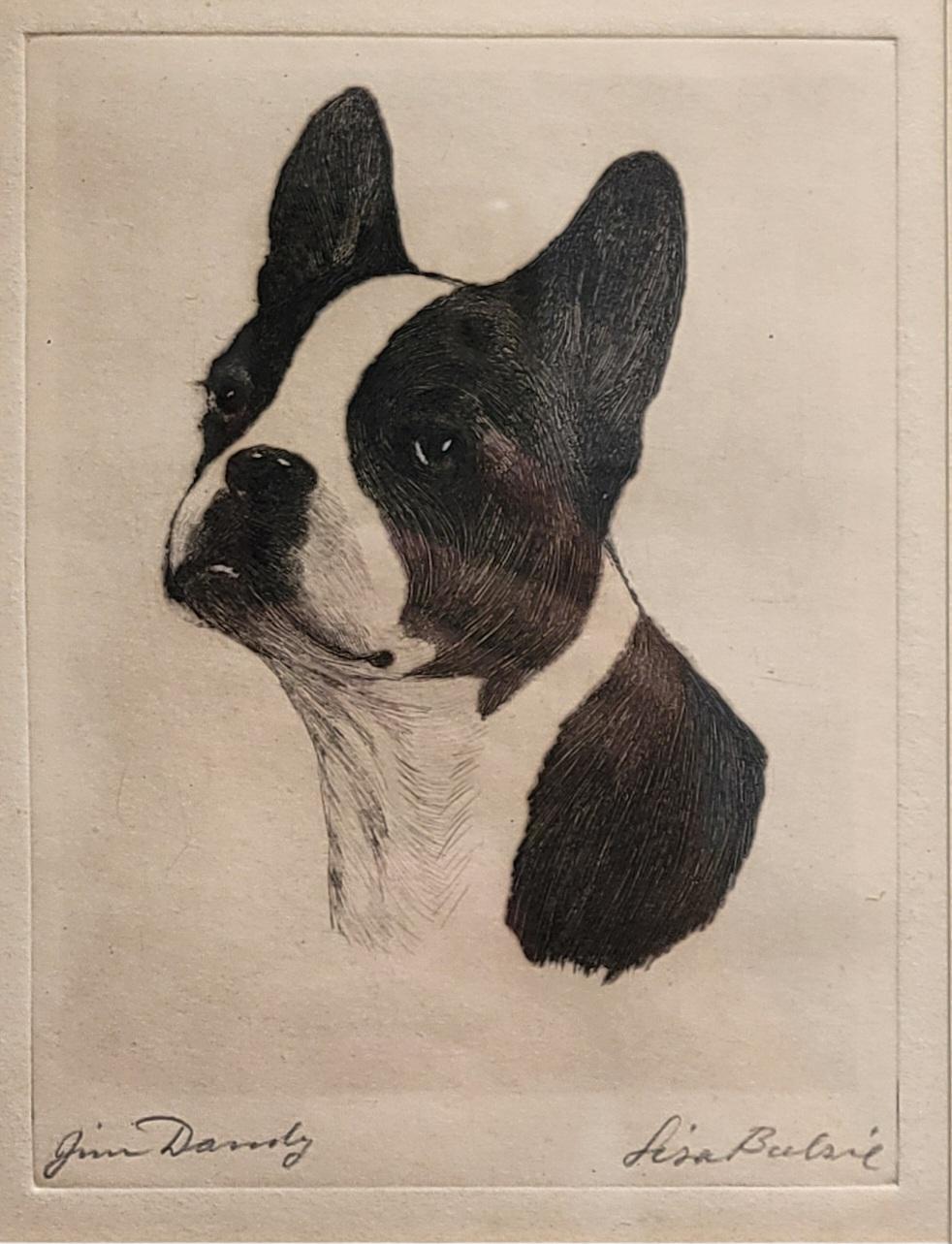 Una bellissima acquaforte dei primi del Novecento che ritrae un distinto Boston Terrier di nome 