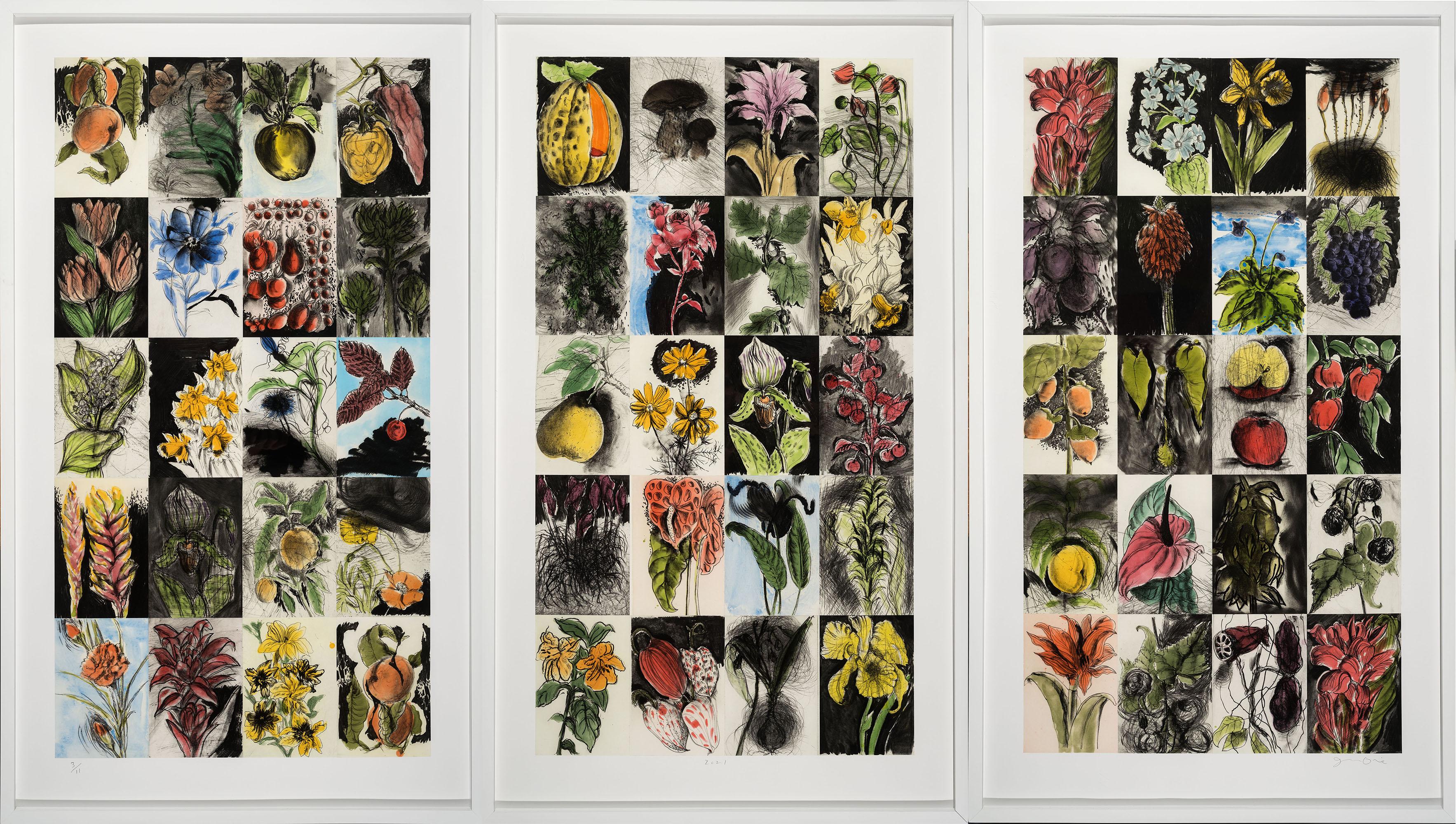 "Astonishing, Health and Sunshine" triptych by artist Jim Dine. Three spitbite aquatint, drypoint and lithographs with additional hand coloring on Shiramibe paper mounted onto three sheets of Hanemuhle Copperplate white paper. From an edition of 11.