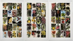 "Erstaunlich, Gesundheit und Sonnenschein" gerahmtes Triptychon in limitierter Auflage von Jim Dine