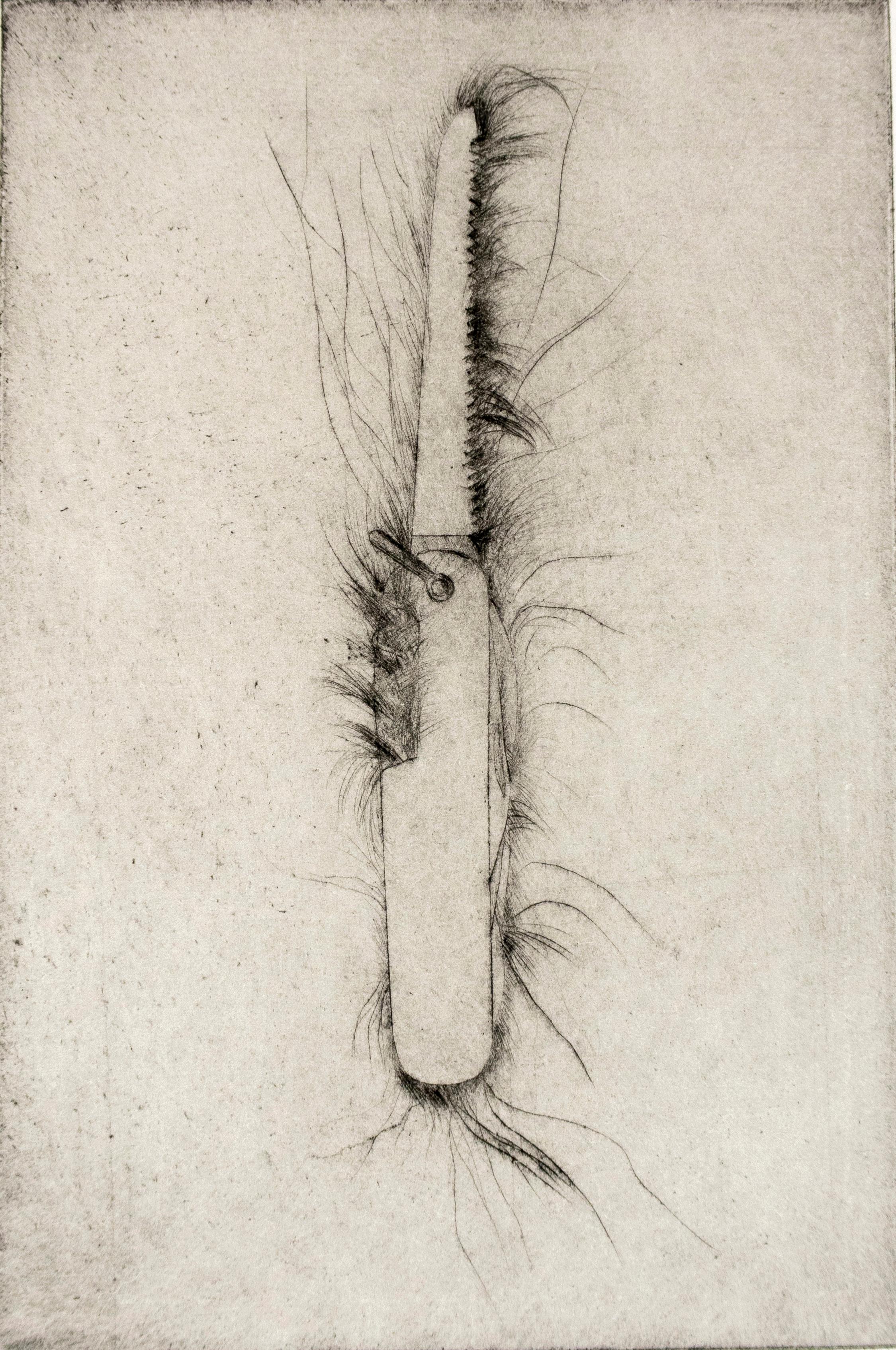Punta seca: Sierra de mano de Jim Dine, boceto en blanco y negro de bodegón de herramientas