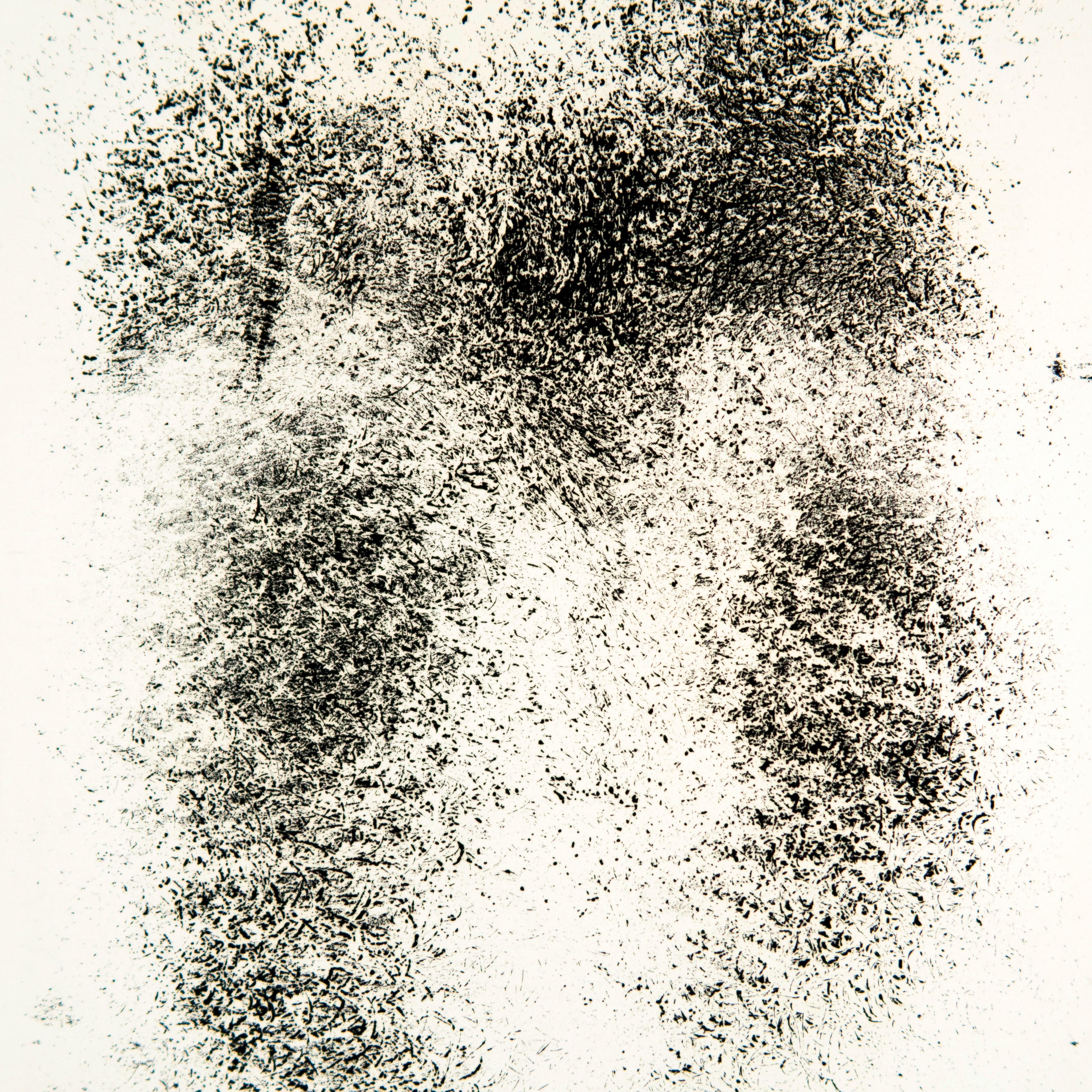 Jim Dine: Dorian Gray's Stomach from 