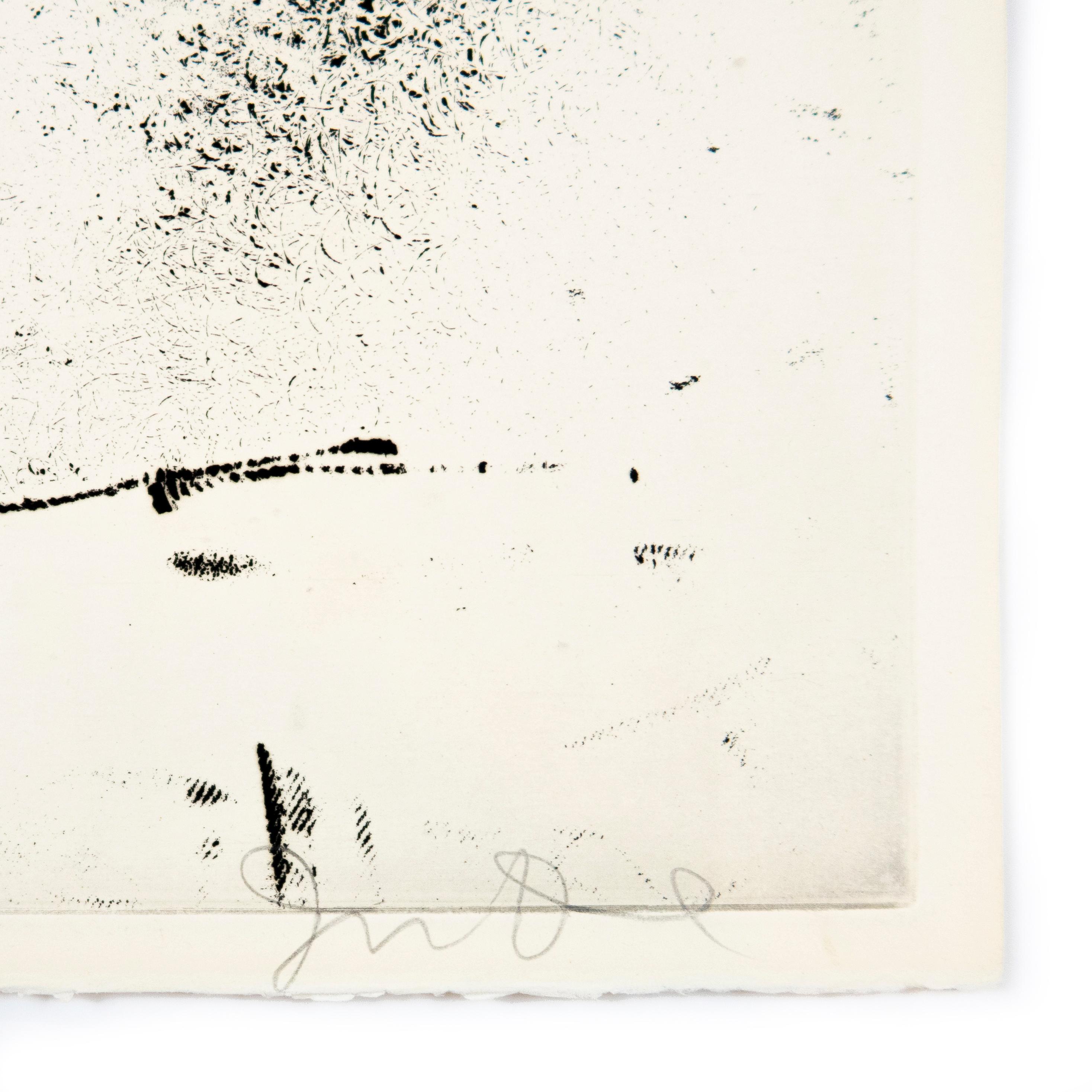 Jim Dine: Dorian Gray's Stomach from 