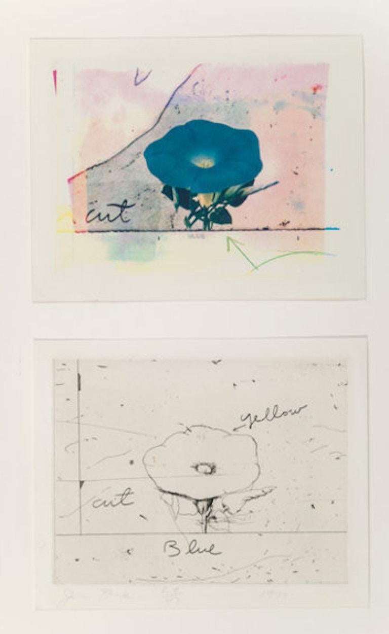 Jim Dine (American, b. 1935)
Morning Glory, set of two, 1972
One etching and one offset lithograph in colors on Hodgkinson handmade paper 
Edition 29/47 (there were also 4 artist's proofs in Roman numerals)
Signed, numbered, and dated in pencil