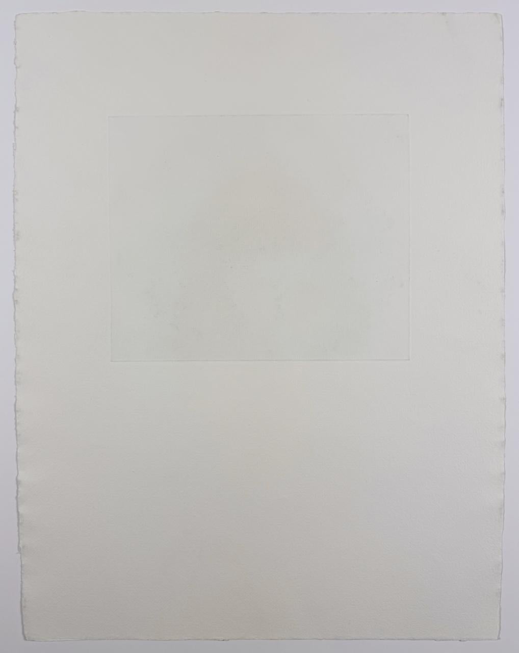 Jim Dine Autorretrato con gorra plana (maleza) cuarto estado con plantas flores en venta 6
