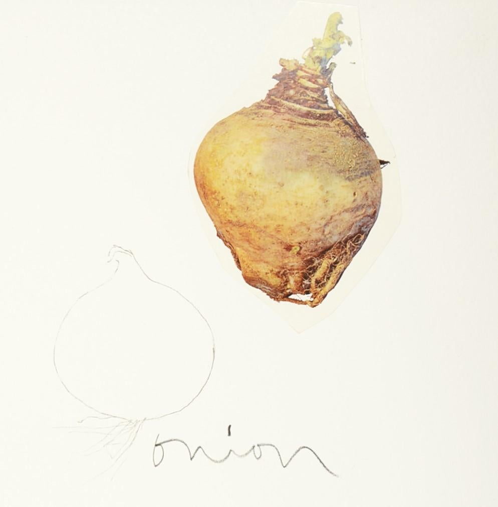 Jim Dine, Untitled (Vegetables), lithograph with collage, 1970 2