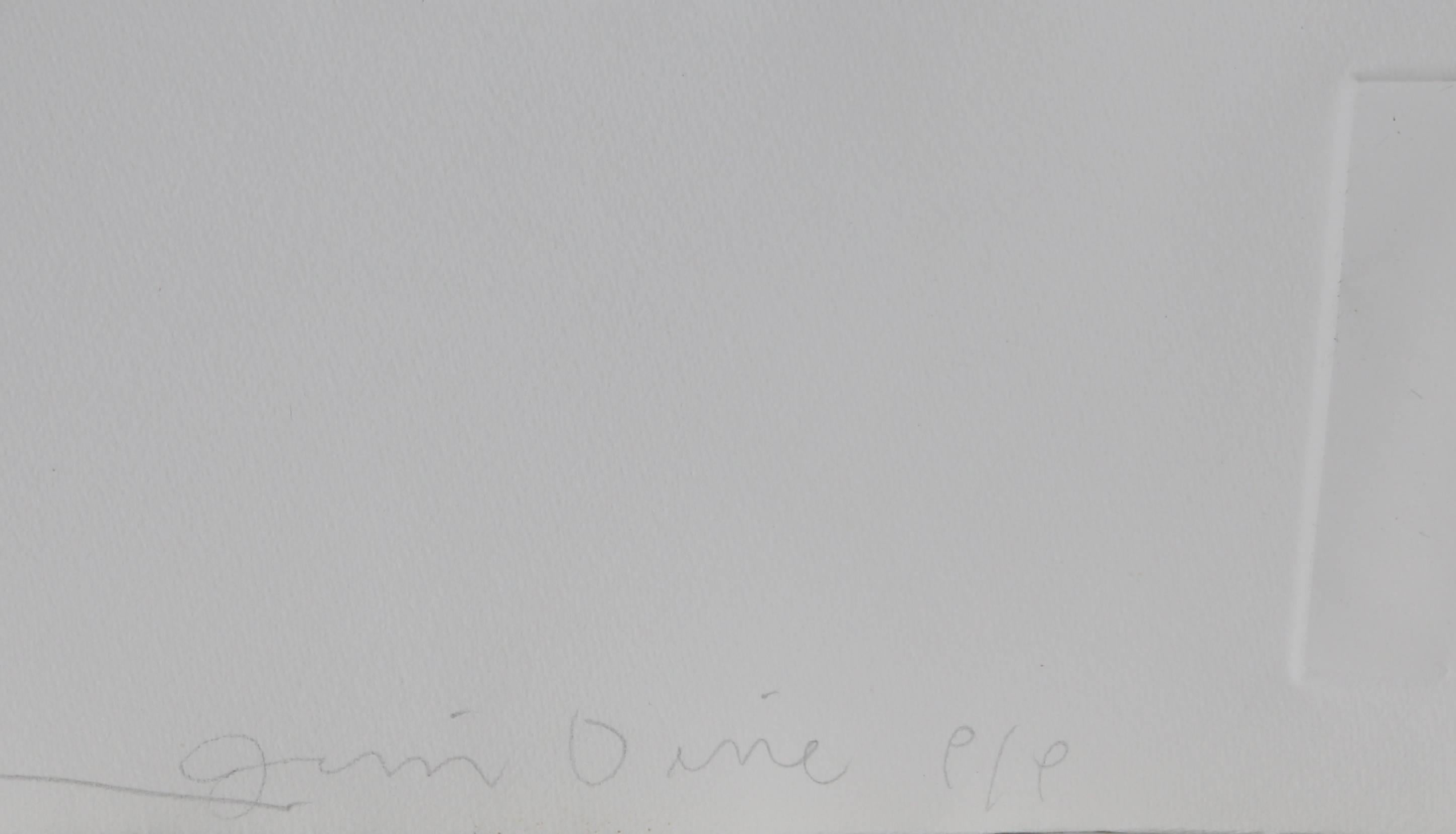 Fotografien und Radierungen, Jim Dine und Lee Friedlander, Portfolio 1969 im Angebot 11