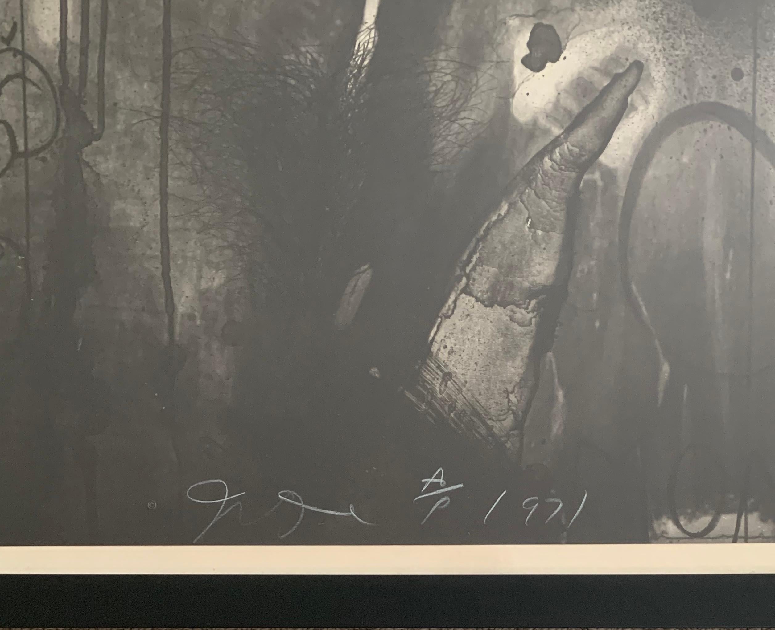 picabia ii forgot