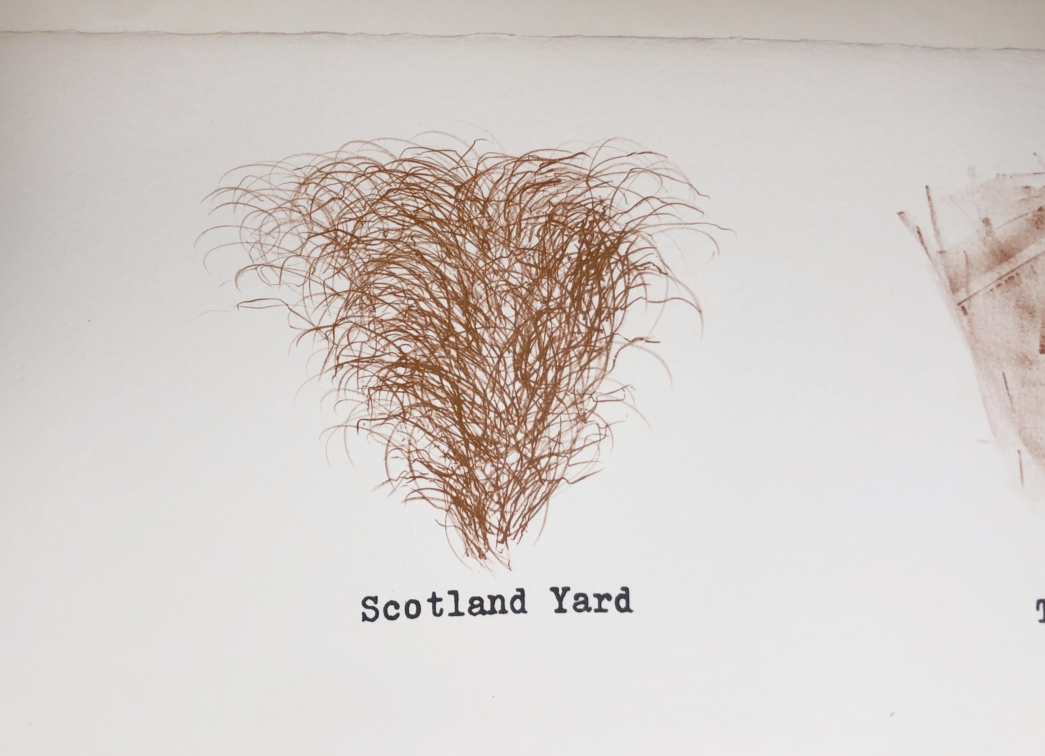 Schottland Yard (Ooo La La) Jim Dine Blassrosa erotische Zeichnung von Frisuren im Angebot 2