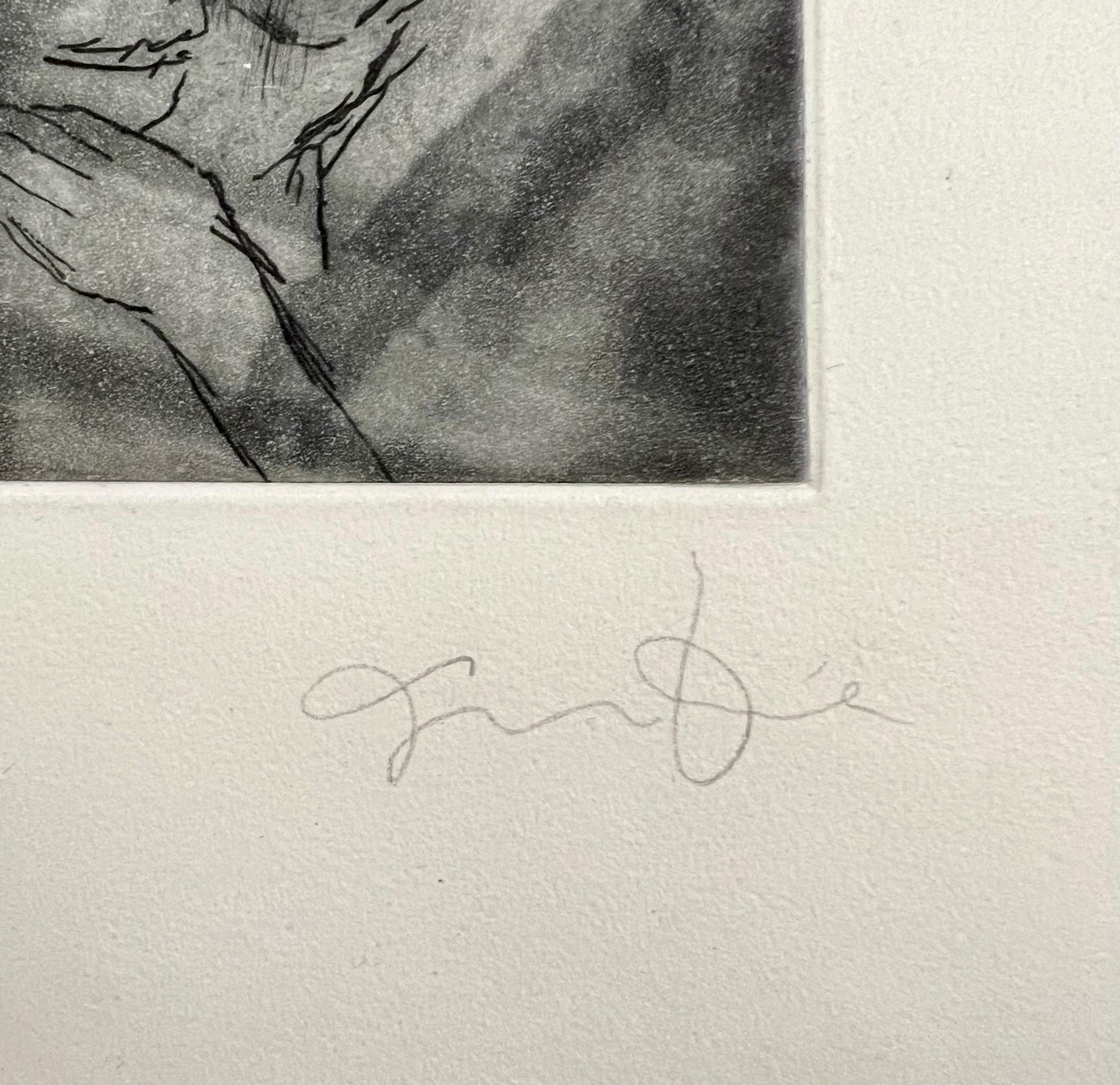 Jim Dine (Amerikaner, geb. 1935) 
Radierung mit der Darstellung eines Hundes oder Wolfs
Veröffentlicht von Enitharmon Press für Whitman College, London 1999
Handsigniert mit Bleistift unten rechts. Maße 9