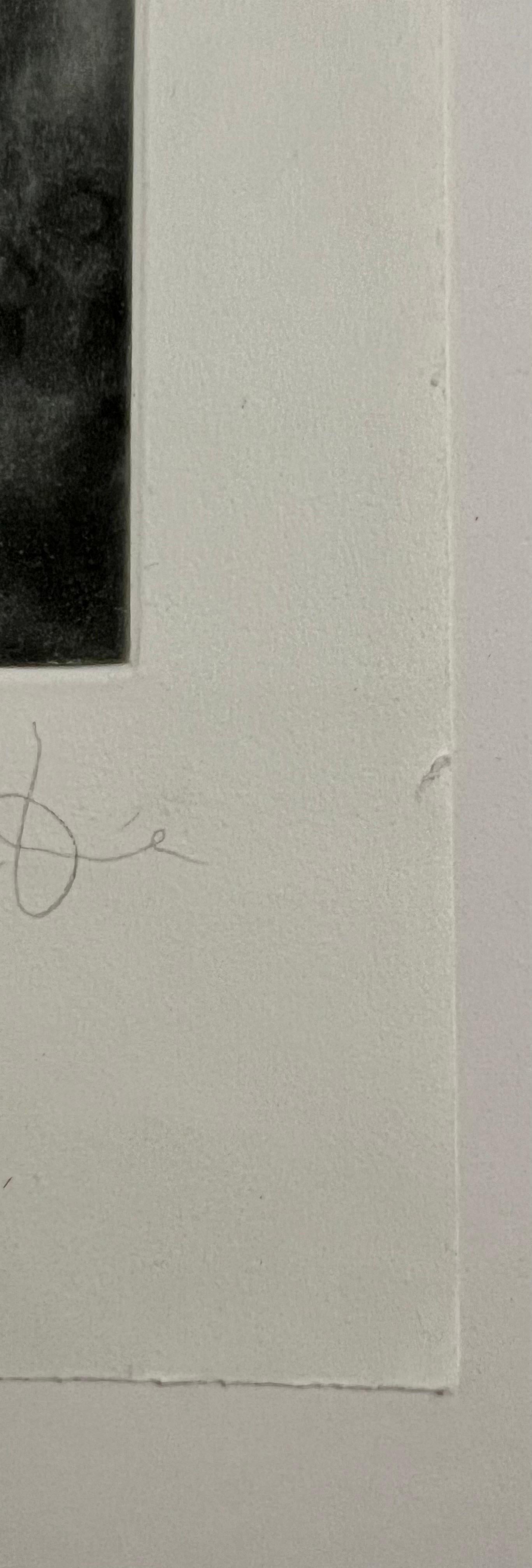 Small Beasts (Dog) Aquatint Etching Jim Dine Pop Art Print For Sale 4