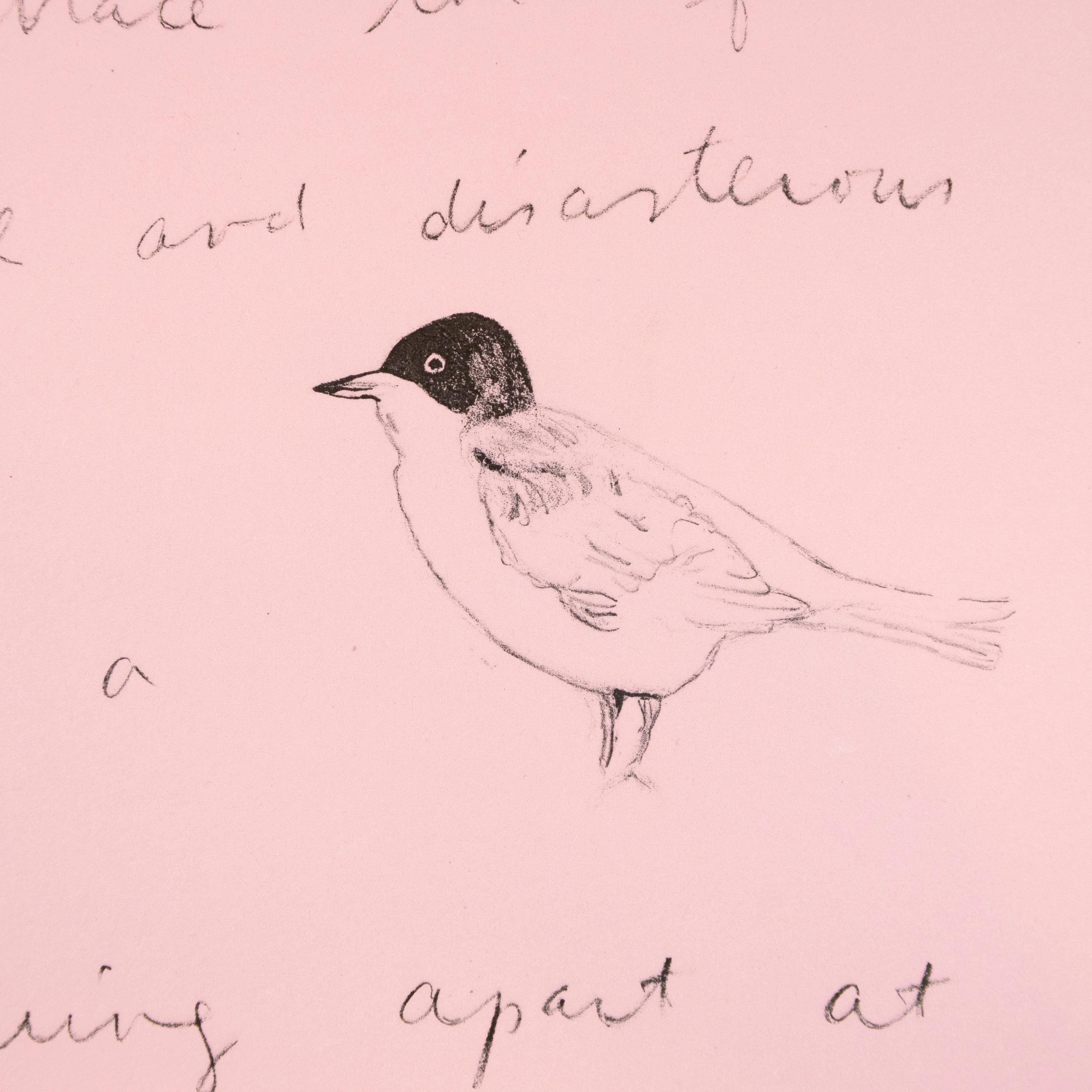 So I lean back (Oo La La) Jim Dine lithograph and Ron Padgett poetry pink bird For Sale 4