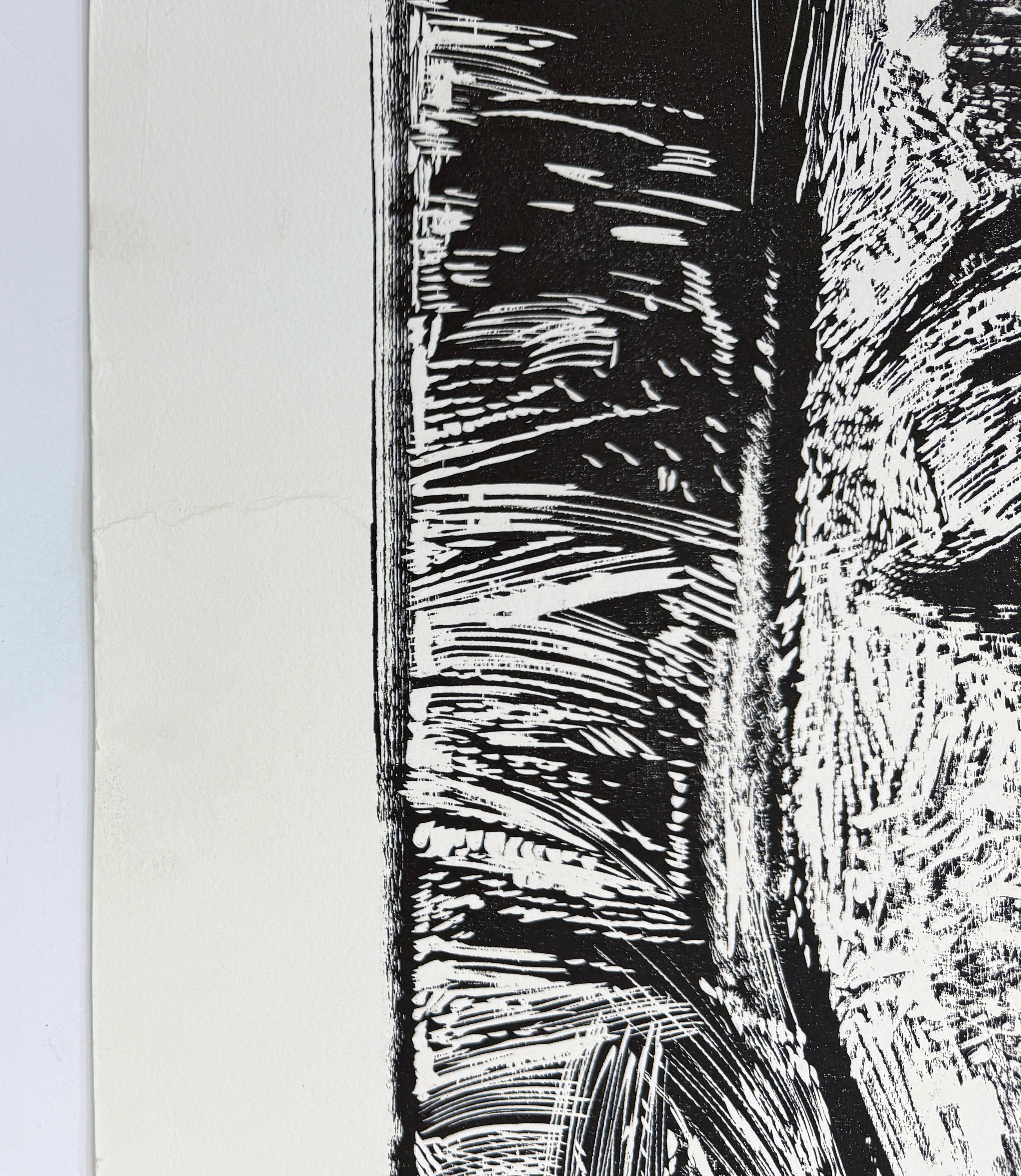 Chine colle xilografiche in nero su carta Waterford stampata a freddo.  Firmato a mano e datato in basso a sinistra da Jim Dine.  Numerato a mano 6/34 in basso a sinistra.  Dimensioni del foglio: 59 x 40 pollici.  Dimensioni dell'immagine: 47,8 x