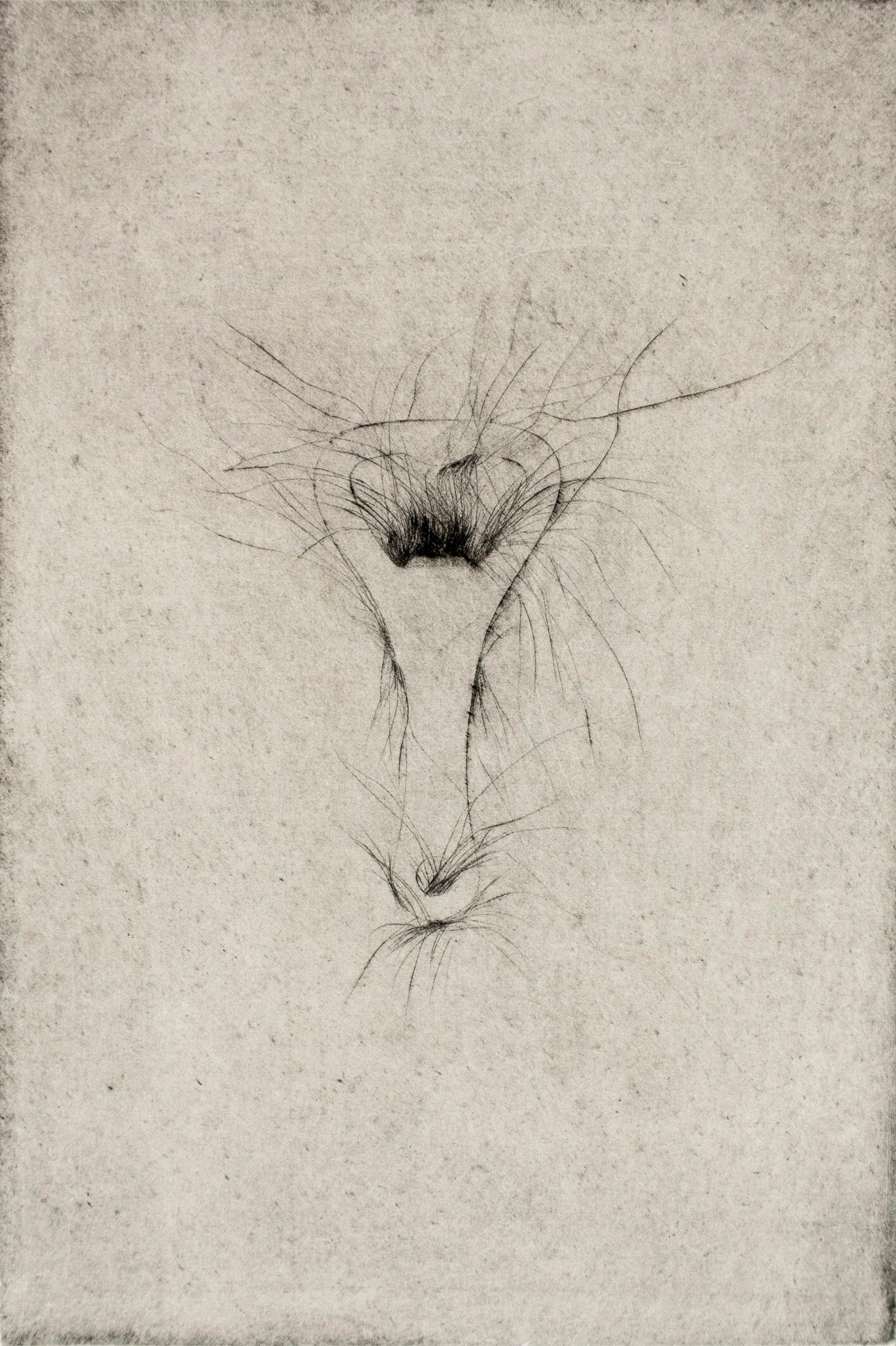 Jim Dine zeichnete die Platte für dieses Bild im gleichen Zeitraum wie sein Portfolio mit Kaltnadelradierungen "Thirty Bones of My Body" von 1972. Das Crisbrook-Papier (76,2 x 56 cm) und die Plattengröße (23 x 15 cm) sind identisch. Diese