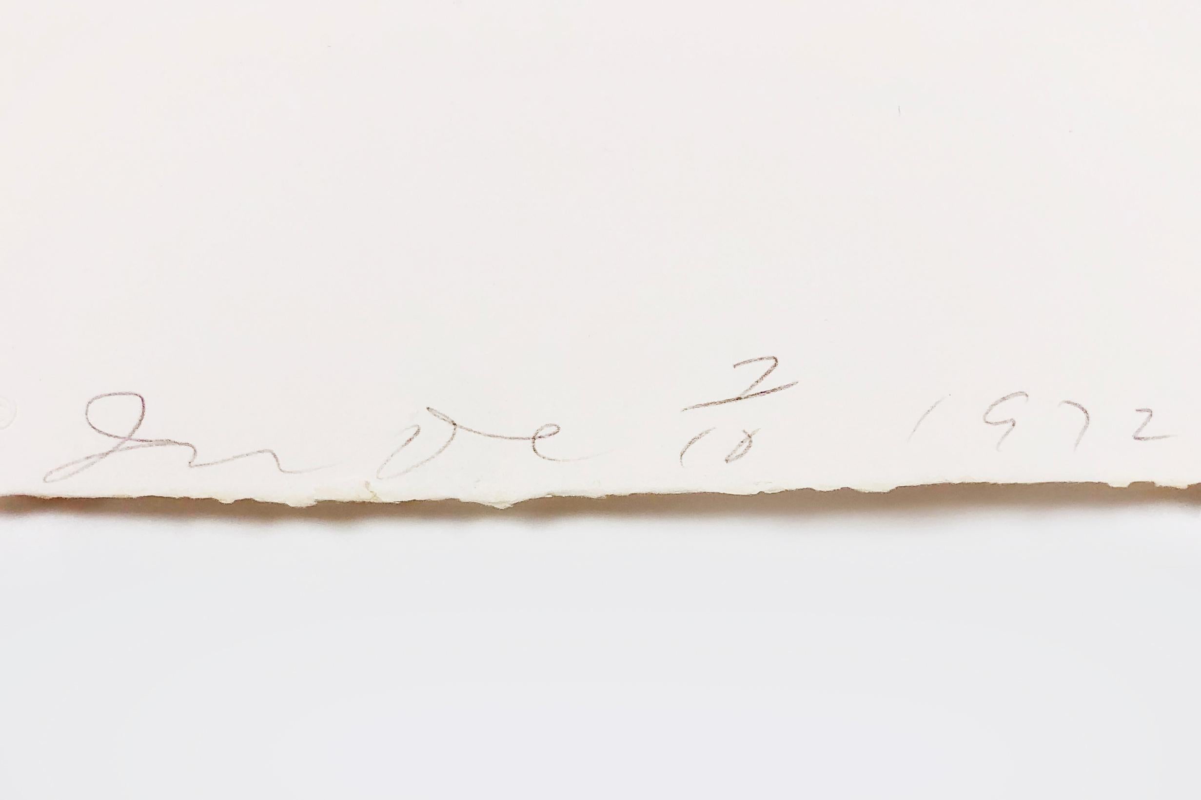 Punta seca con herramienta: Pincel de Jim Dine, boceto de bodegón con herramienta en blanco y negro en venta 3