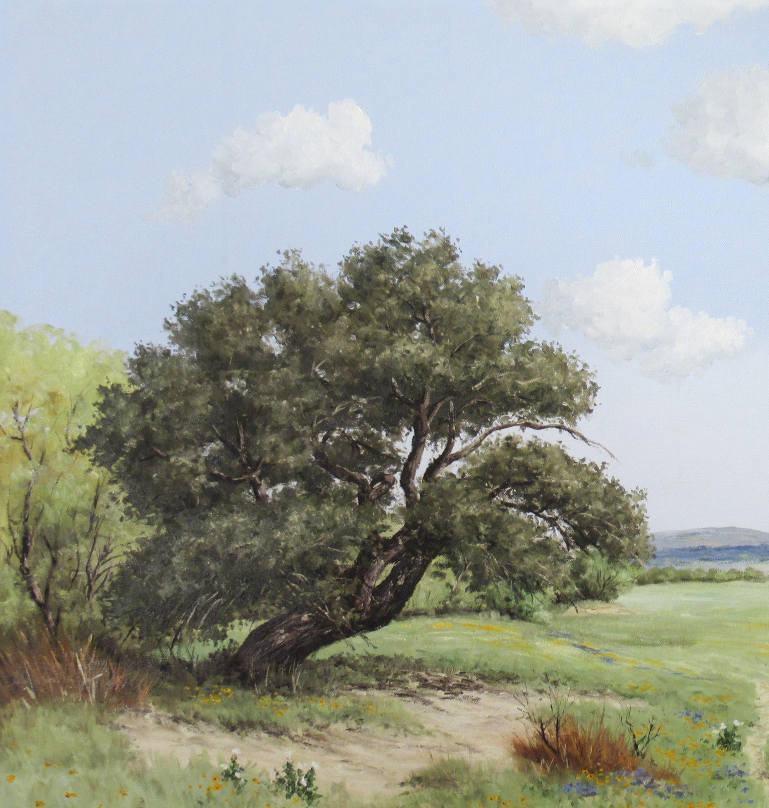 Texas Sendero with clear Blue Sky - Painting by Jim Dooley