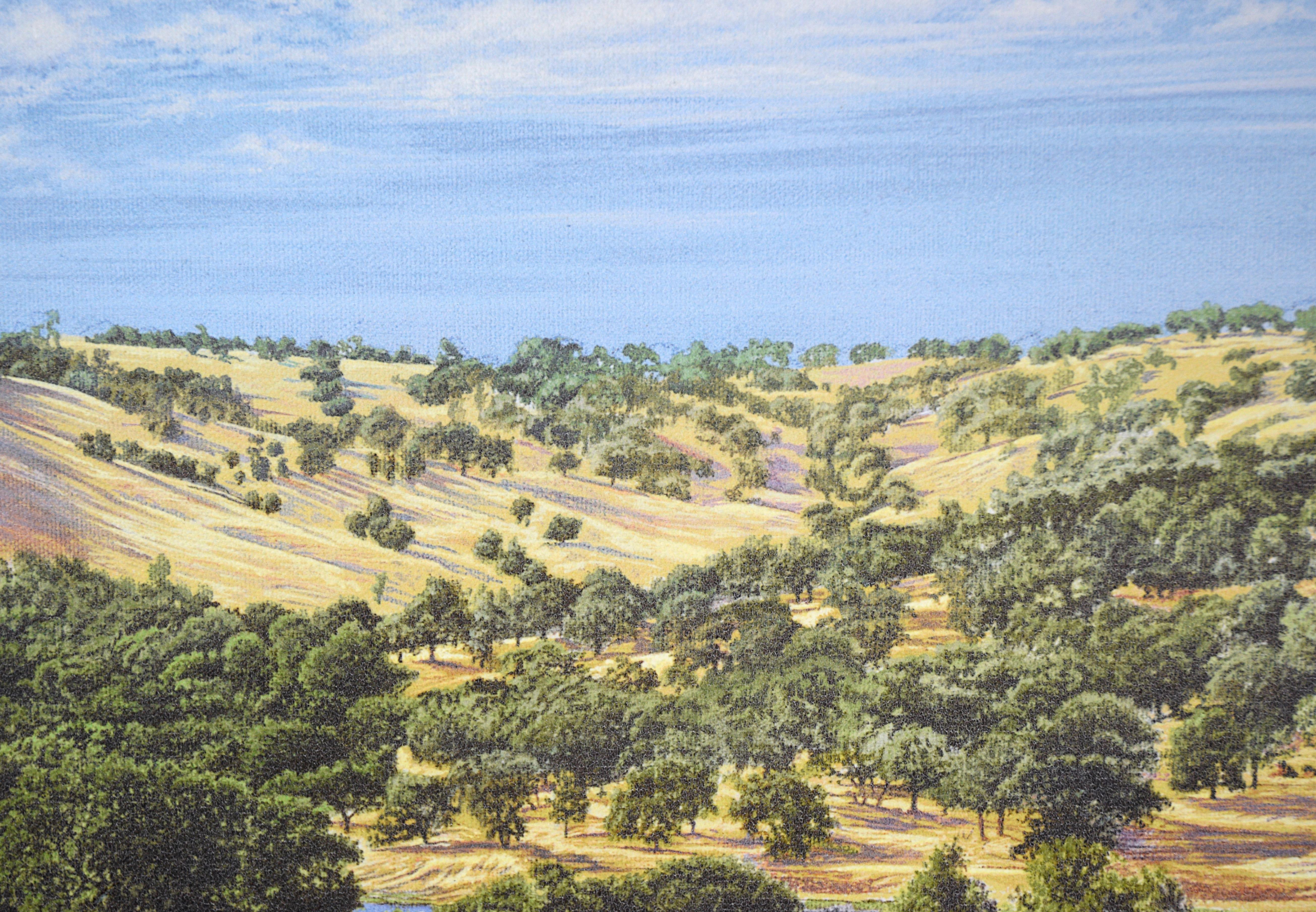 The Tenth Hole at Auburn Valley Golf Course - AP, 1/50 - Giclée sur toile

Représentation sereine du terrain de golf Auburn Valley et des collines environnantes par Jim Fitzpatrick (américain, né en 1947). Le spectateur se trouve face au drapeau du