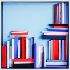 "BENVENUTI ALLA MIA COLLEZIONE DI LIBRI "Assemblaggio dai colori vivaci, scultura di natura morta
