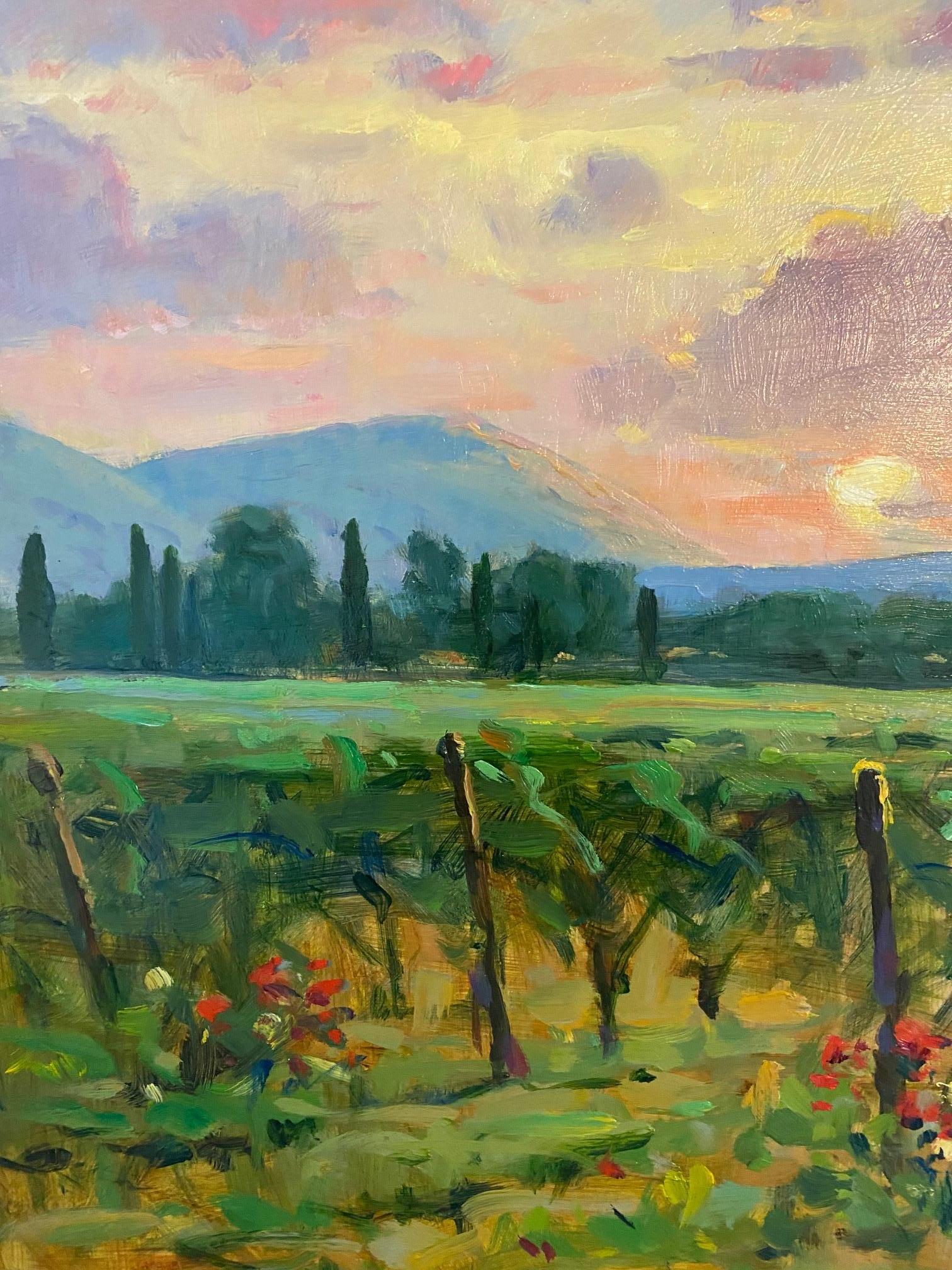 Lyrical Light in Les Baux, original French impressionist landscape oil painting - Impressionist Painting by Jim Rodgers