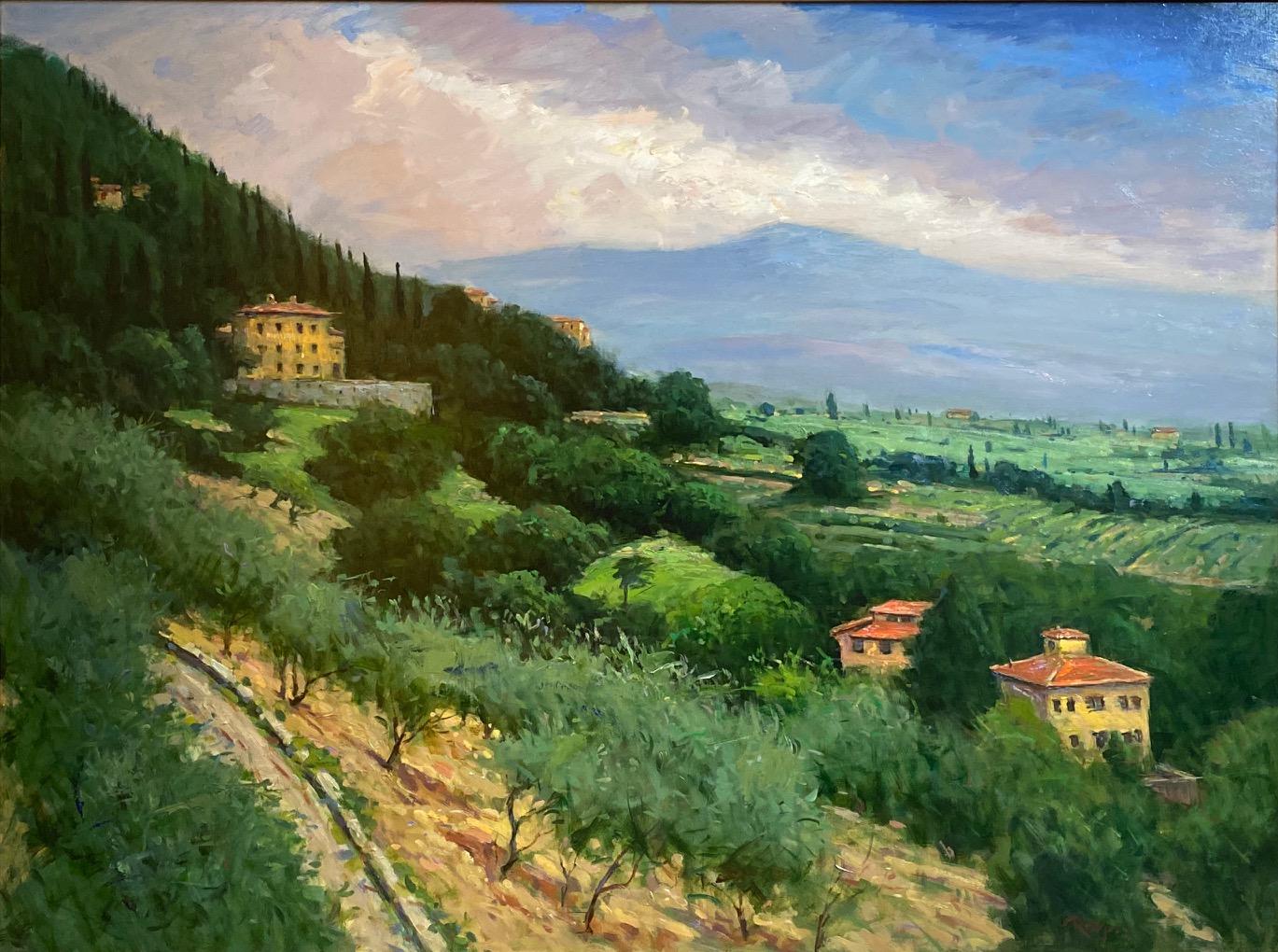 Massa in June, Tuscany, original 30x40 Italian impressionist landscape - Painting by Jim Rodgers