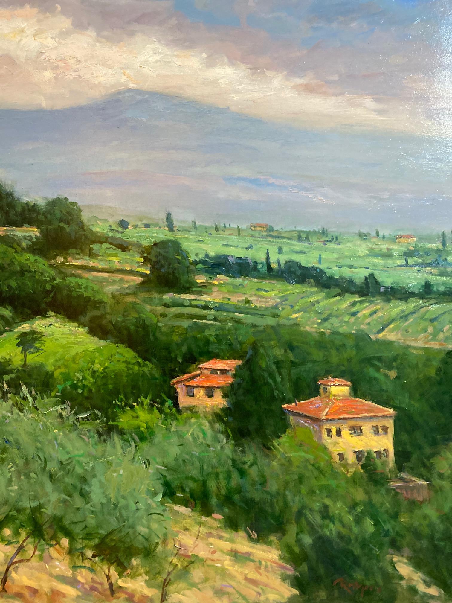 Massa in June, Tuscany, original 30x40 Italian impressionist landscape - Impressionist Painting by Jim Rodgers