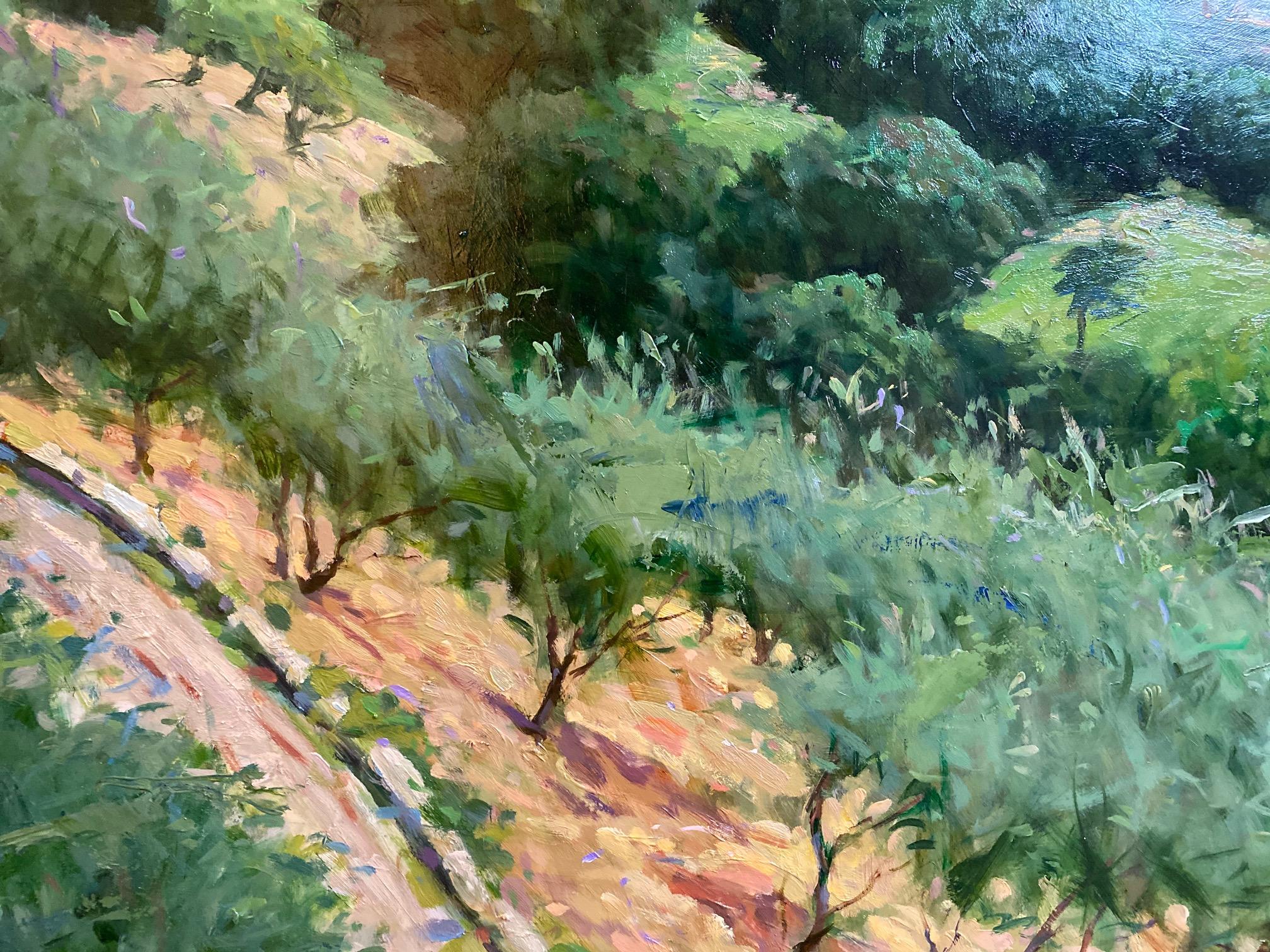 Massa in June, Tuscany, original 30x40 Italian impressionist landscape - Brown Landscape Painting by Jim Rodgers