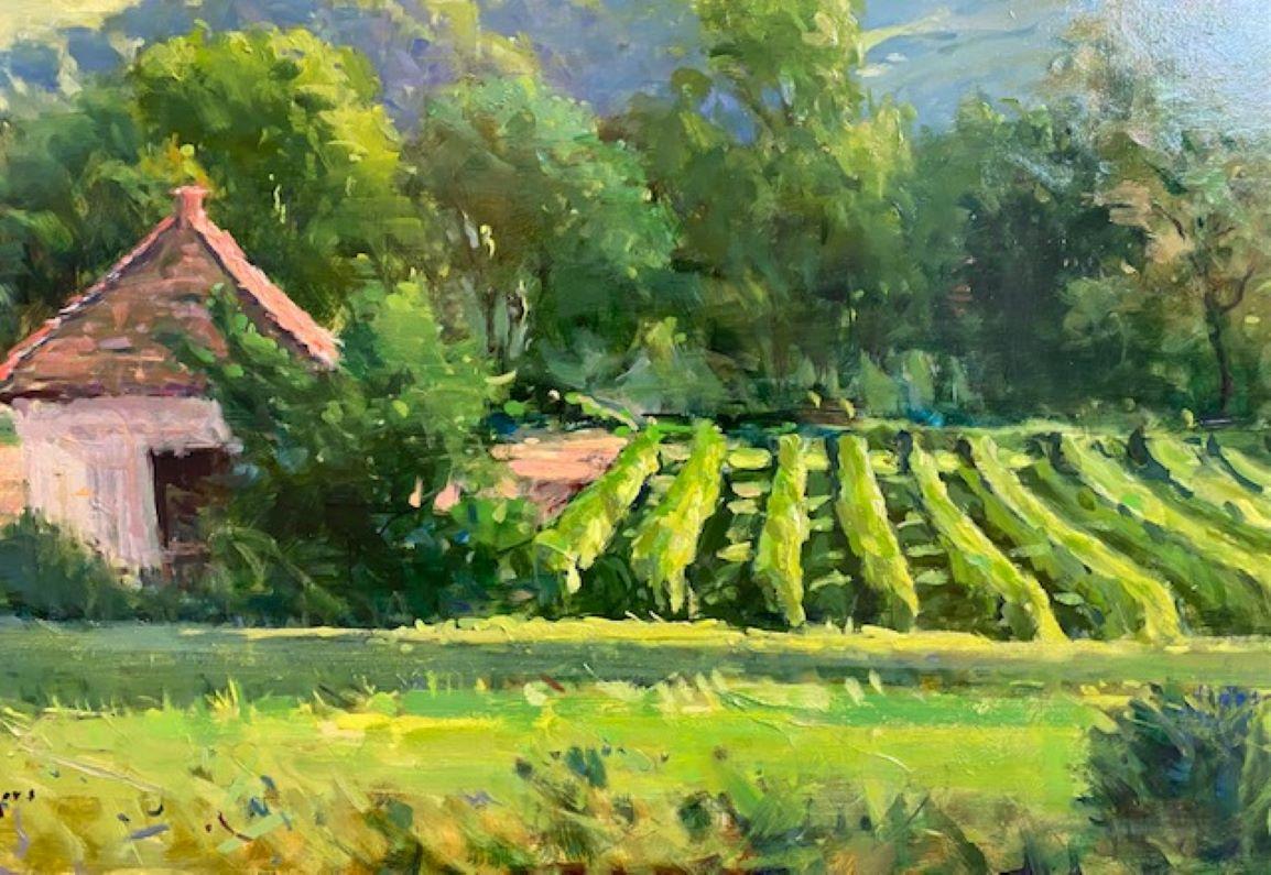 The magic of the vineyards of Provence, France, in early morning is recreated by master impressionist Jim Rodgers. An experienced European traveler, Rodgers captures the chic sophistication that is this famed region in the south of France in this