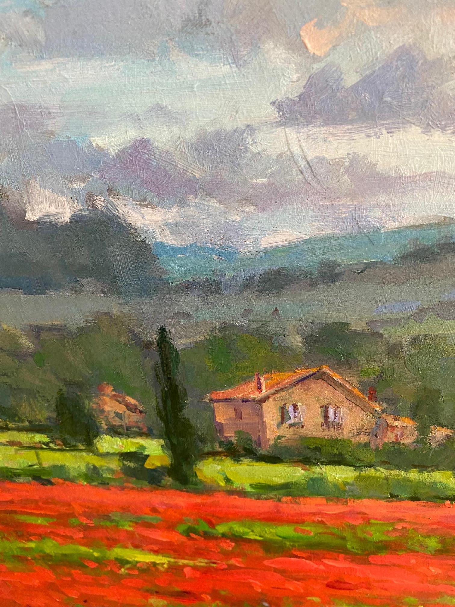 Poppies in the famed French region of Provence is pure magic!  The lush, brilliant red flowers suddenly appear just as they will demure when poppy season has run it's course for the year.  The mesmerizing fields beckon you to trek ahead quickly