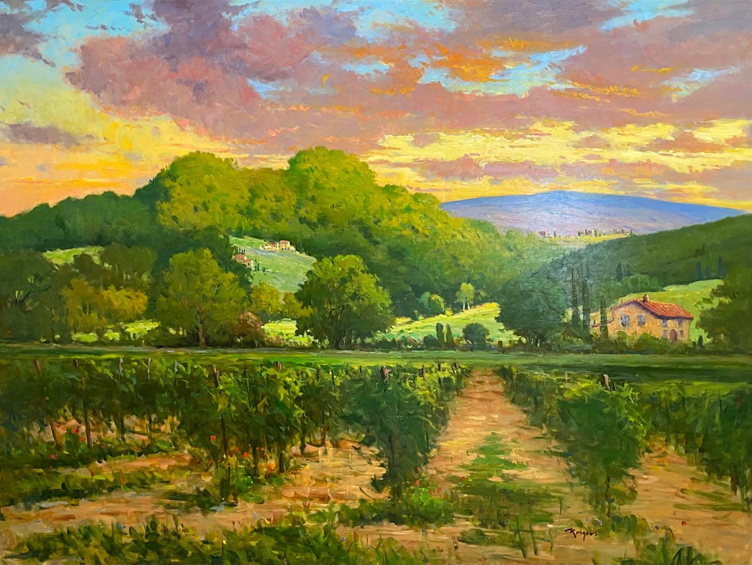 Vaucluse Vineyards, original 36x48 French impressionist vineyard landscape - Painting by Jim Rodgers